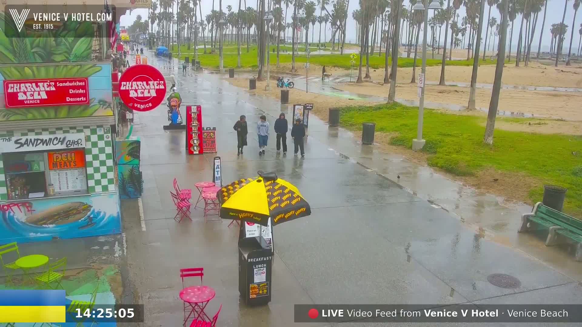 A rain-slicked boardwalk scene shows several people walking past outdoor seating and food stands near a beach with palm trees.