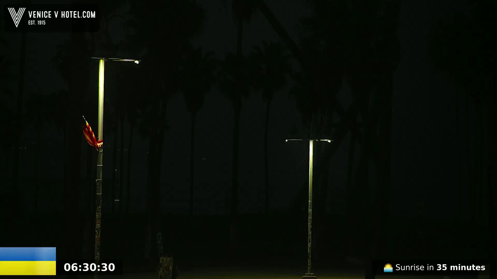 Two illuminated lampposts stand in the dark among silhouetted palm trees at night.