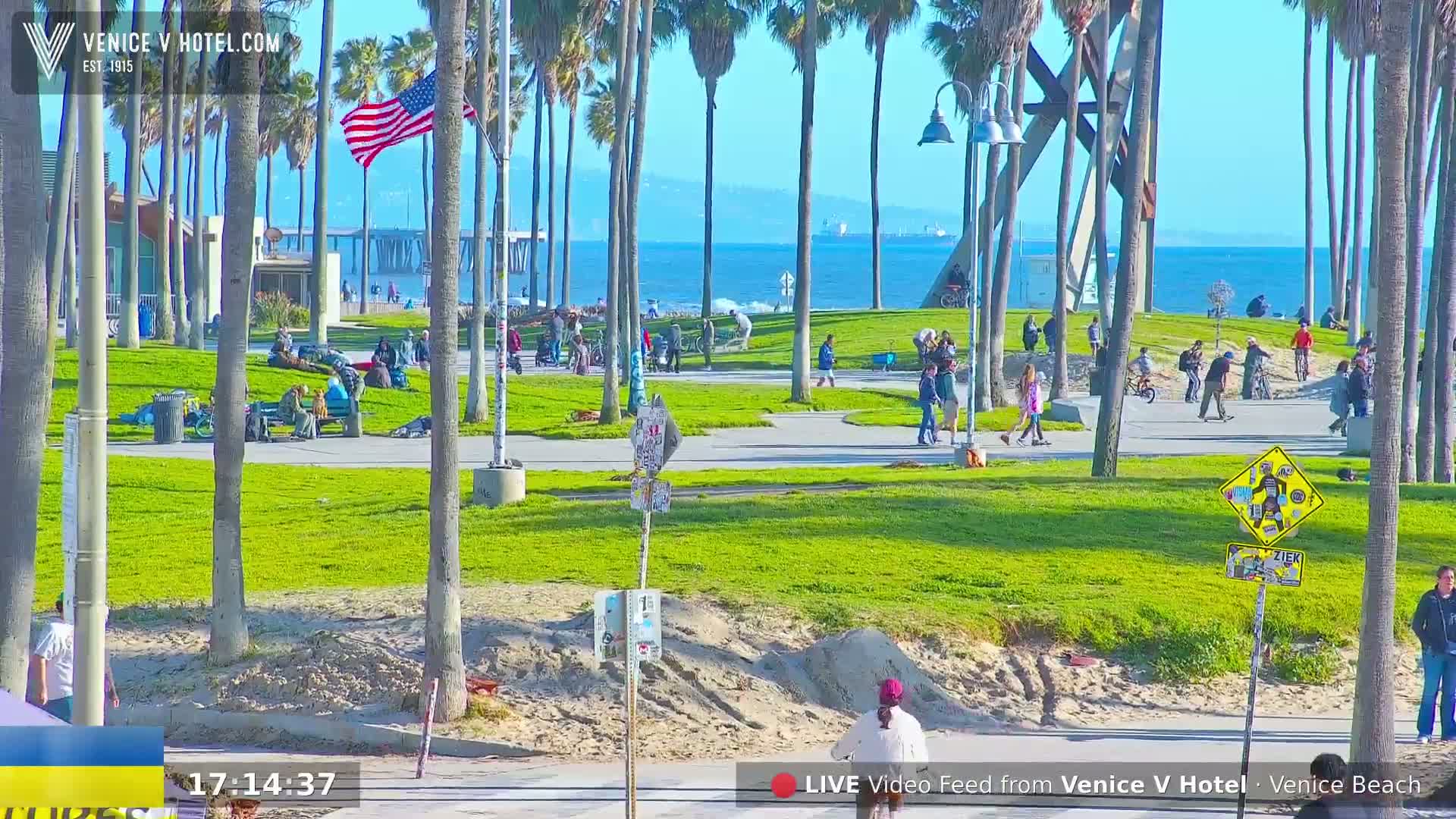 A sunny day at a beachside park shows many people relaxing, biking, and skateboarding on the grass, with palm trees and ocean in the background.