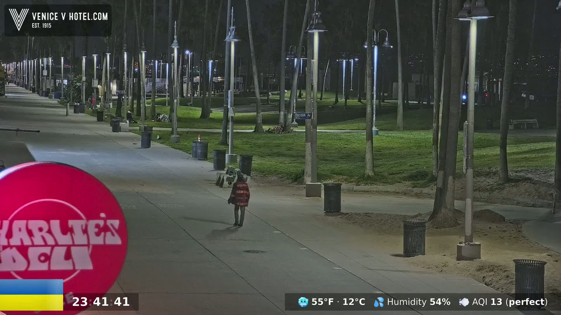 A person walks down a paved walkway at night, lined with palm trees, trash cans, and lampposts, next to a grassy area.
