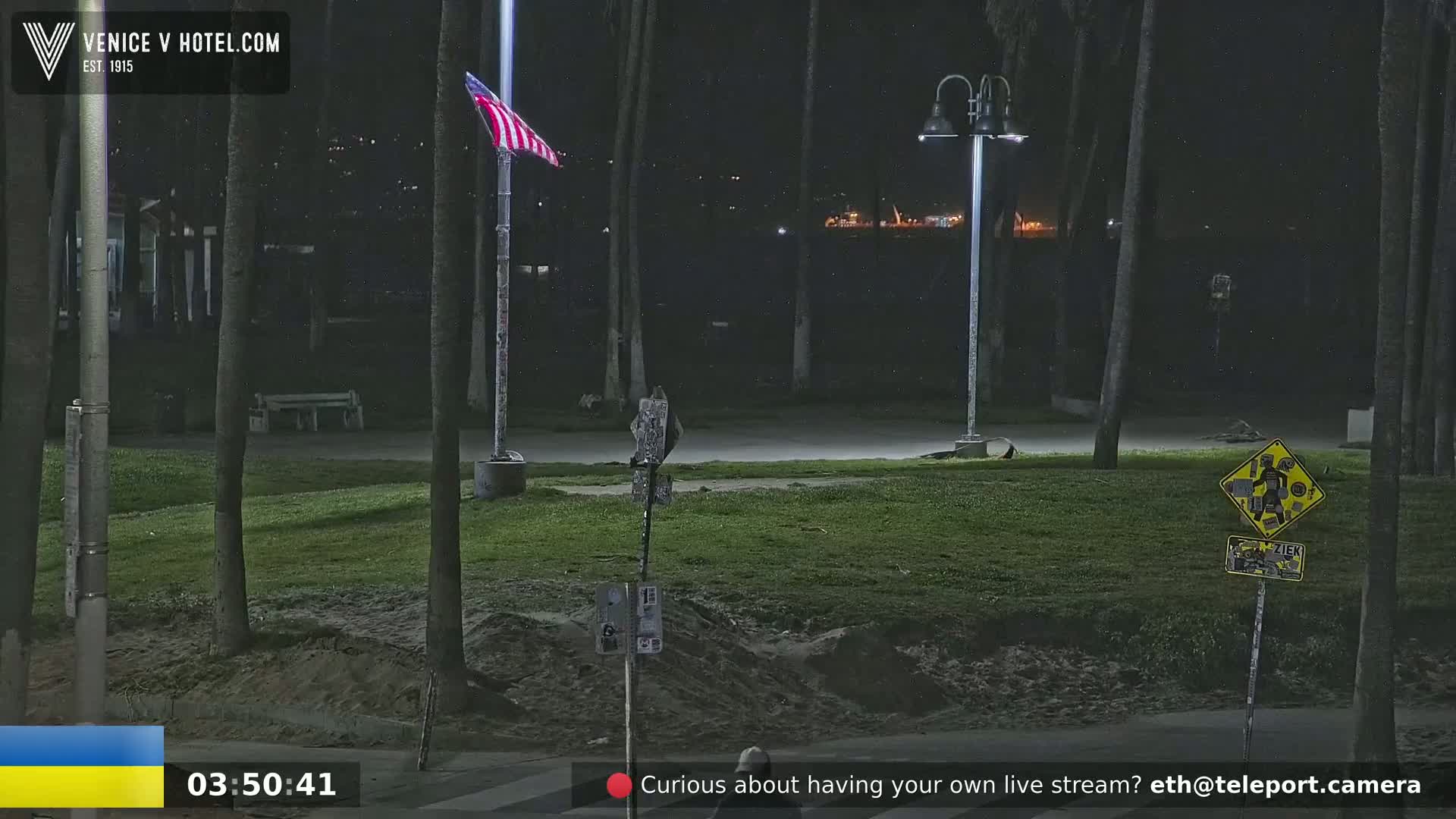 A nighttime view of a grassy area with palm trees, streetlights, and an American flag, under a dark sky.