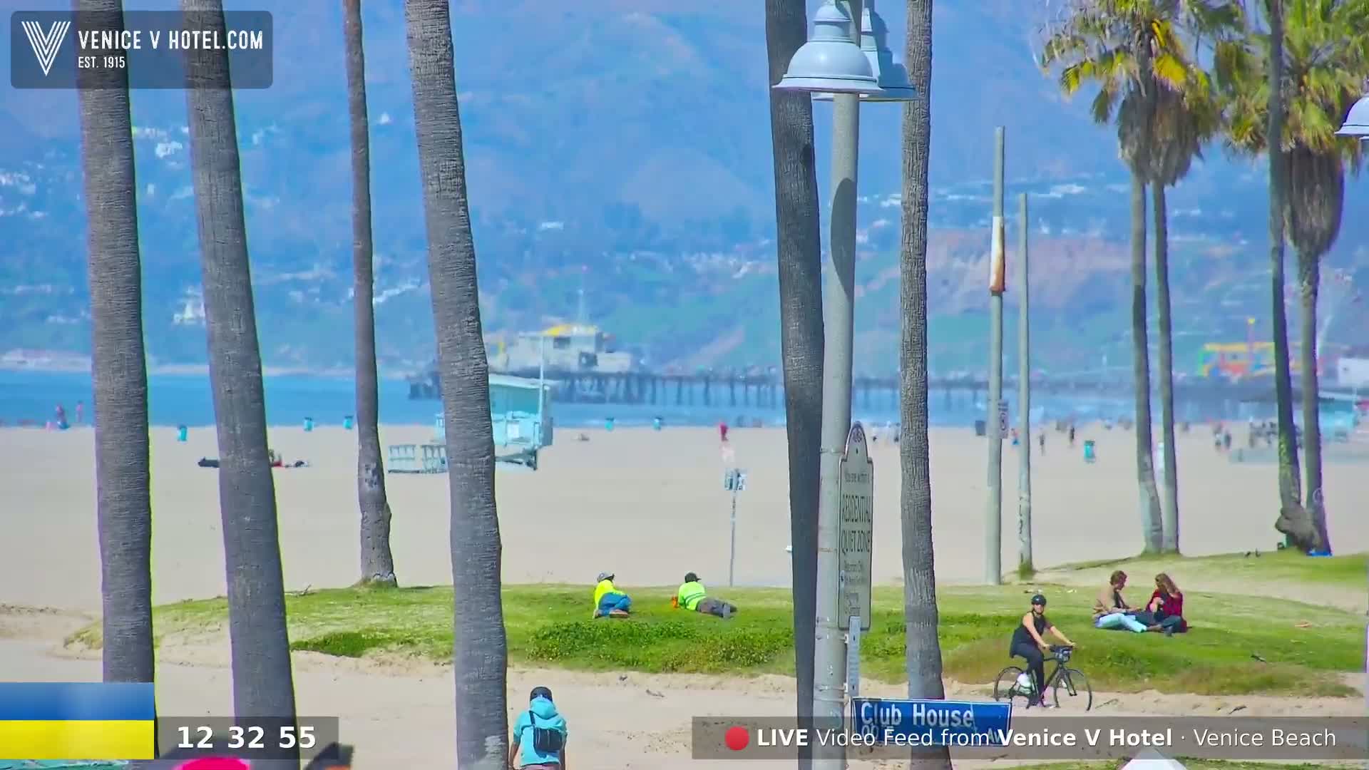 A sunny day at a beach with palm trees, people relaxing on the sand and grass, and a pier in the distance.
