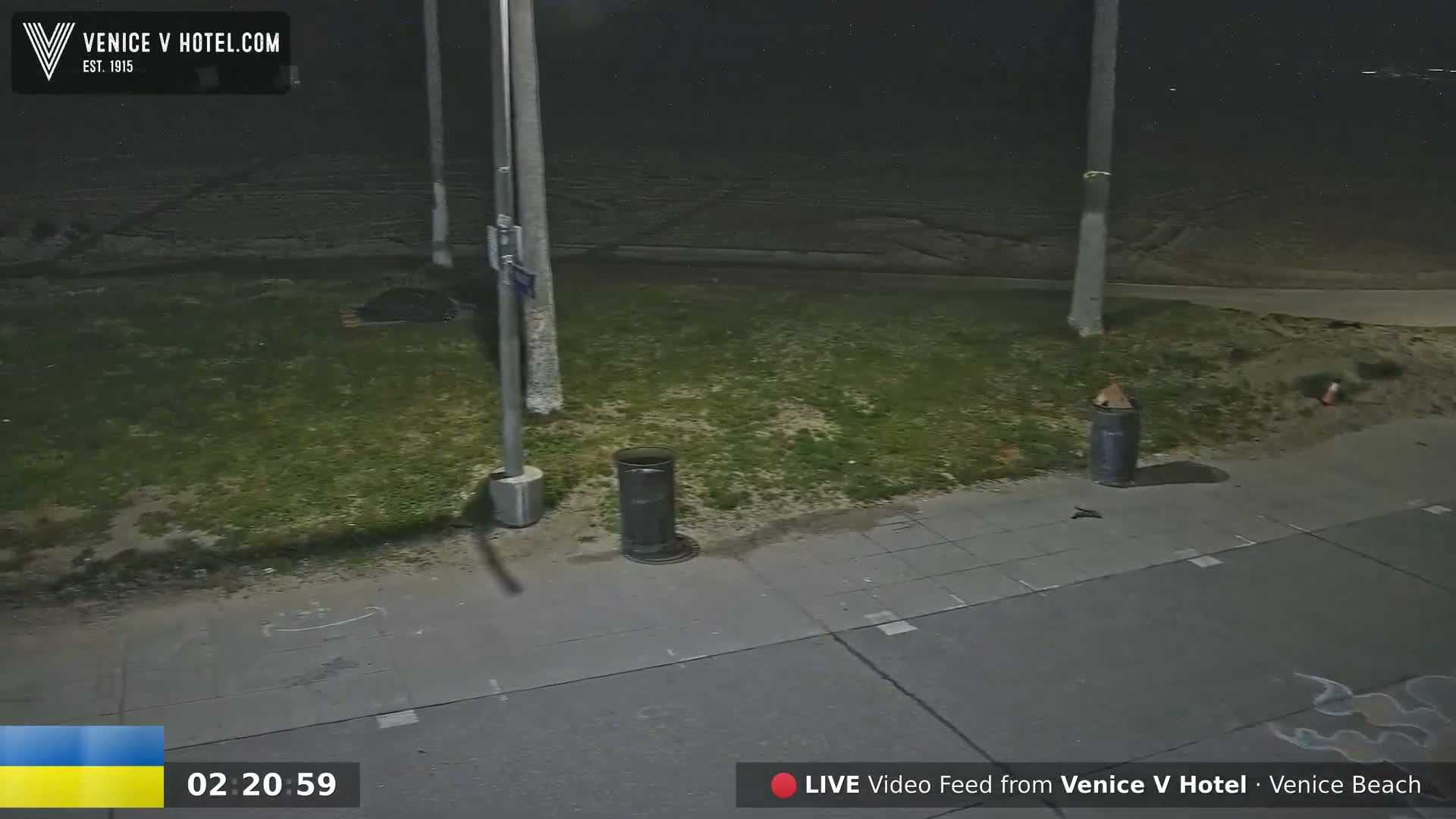 A nighttime view of a sidewalk and grassy area, illuminated by artificial light, showing two trash cans and a streetlamp.