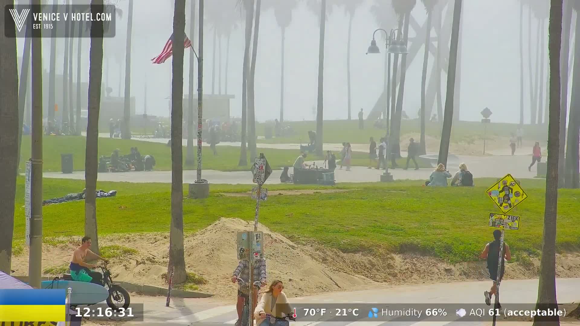 A foggy beach scene shows people relaxing, riding bikes, and walking on a grassy area near a paved path, with palm trees lining the foreground.