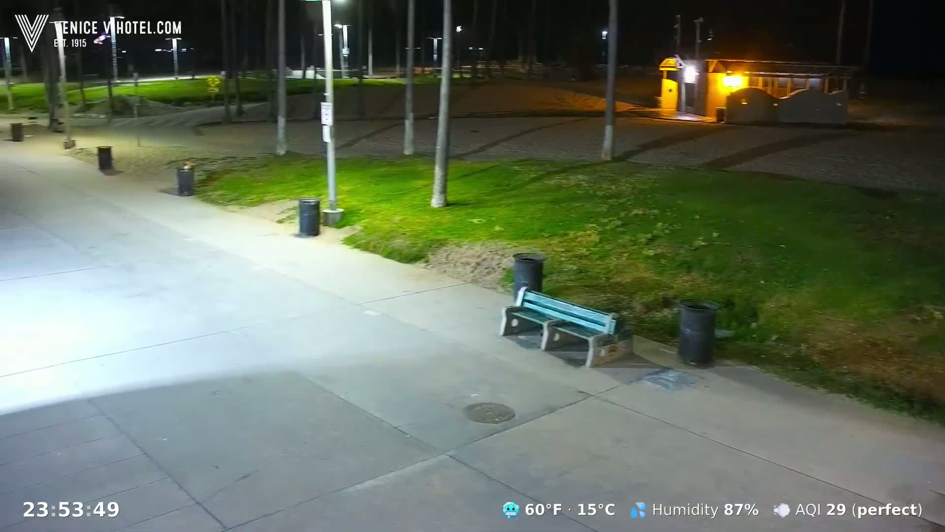 A nighttime view of a paved walkway next to a grassy area with palm trees, a bench, and trash cans, under clear skies.