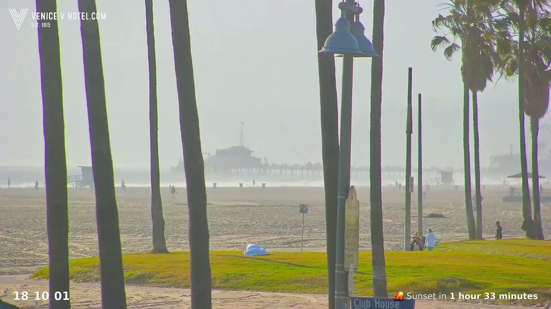 A hazy beach scene shows a pier in the distance, palm trees in the foreground, and people walking on the sand.