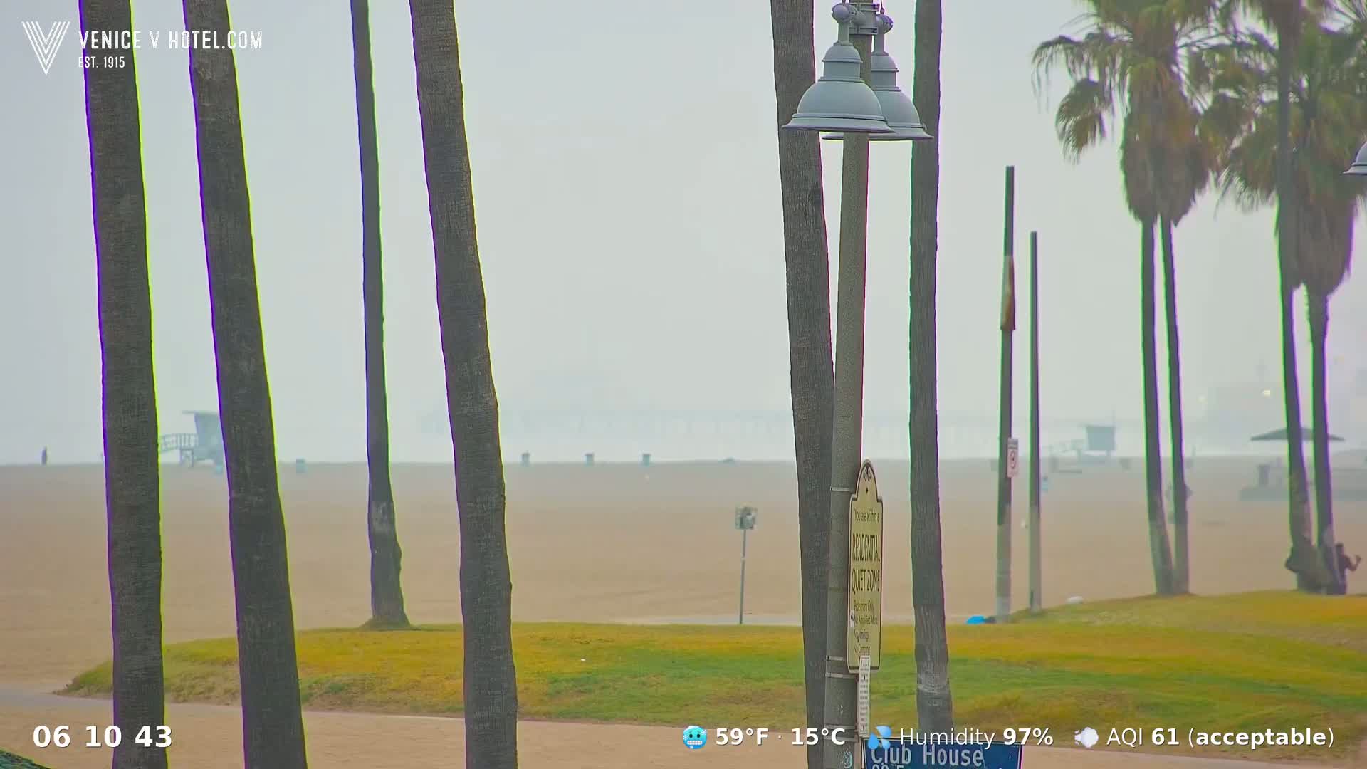 A hazy, overcast beach scene is visible through several palm trees, with a lifeguard stand and ocean in the distance.
