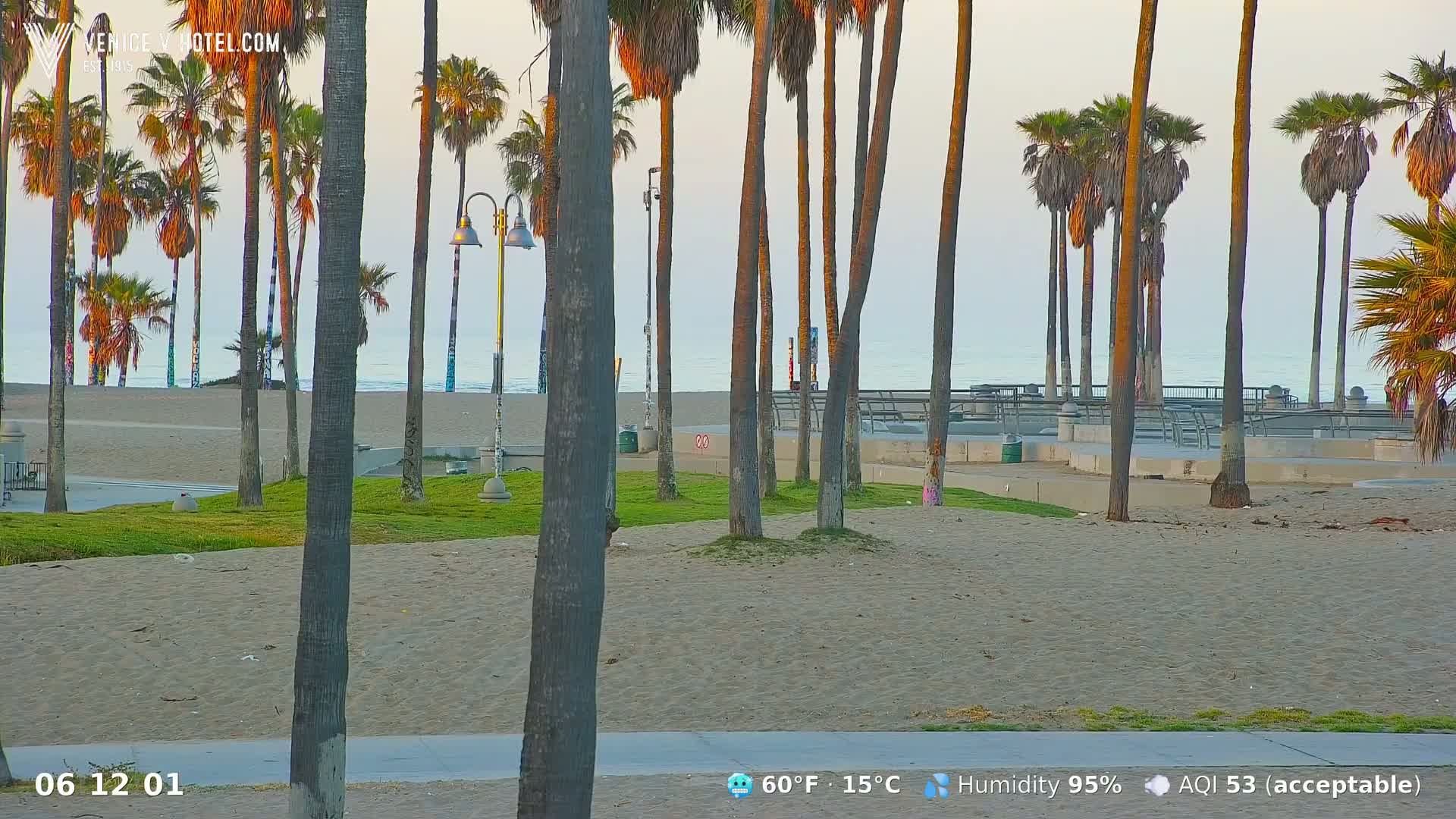 A sandy beach with palm trees and a calm ocean under a clear, light-colored sky.