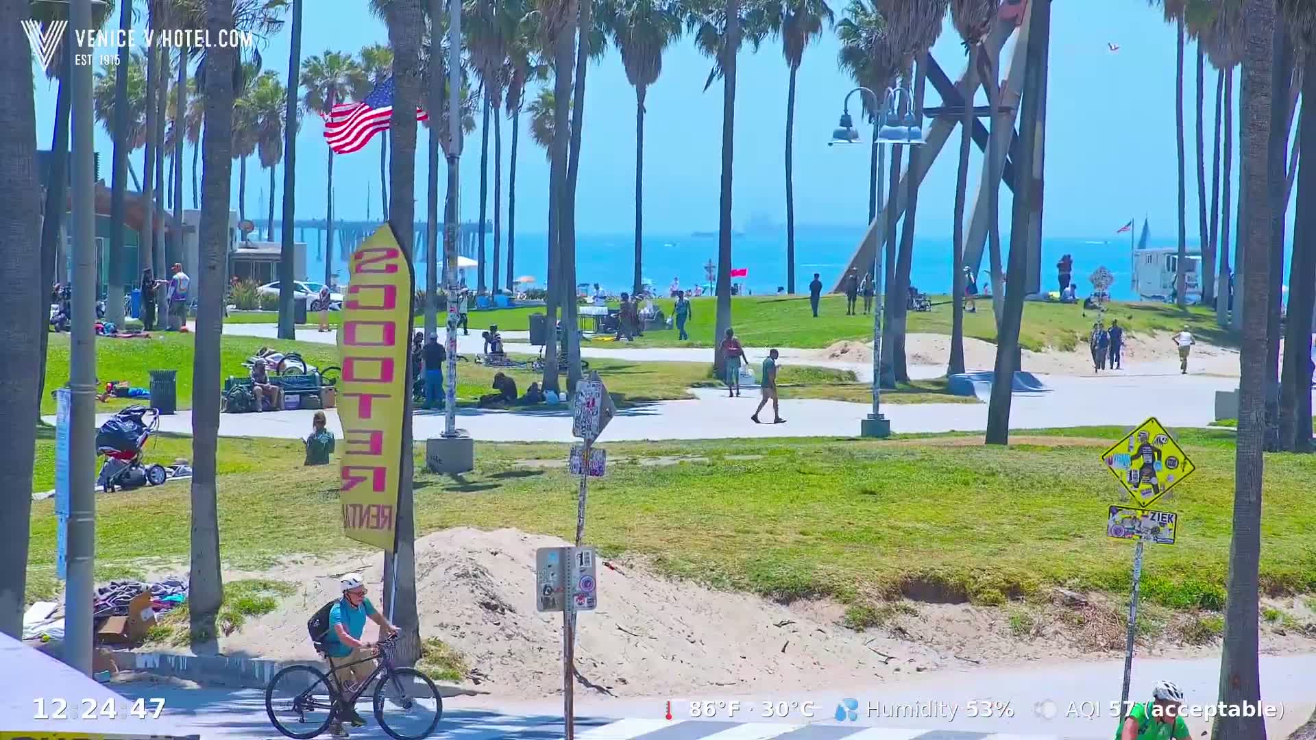 A sunny day at a beachside park shows people walking, biking, and relaxing near palm trees, a pier in the distance, and a calm ocean.