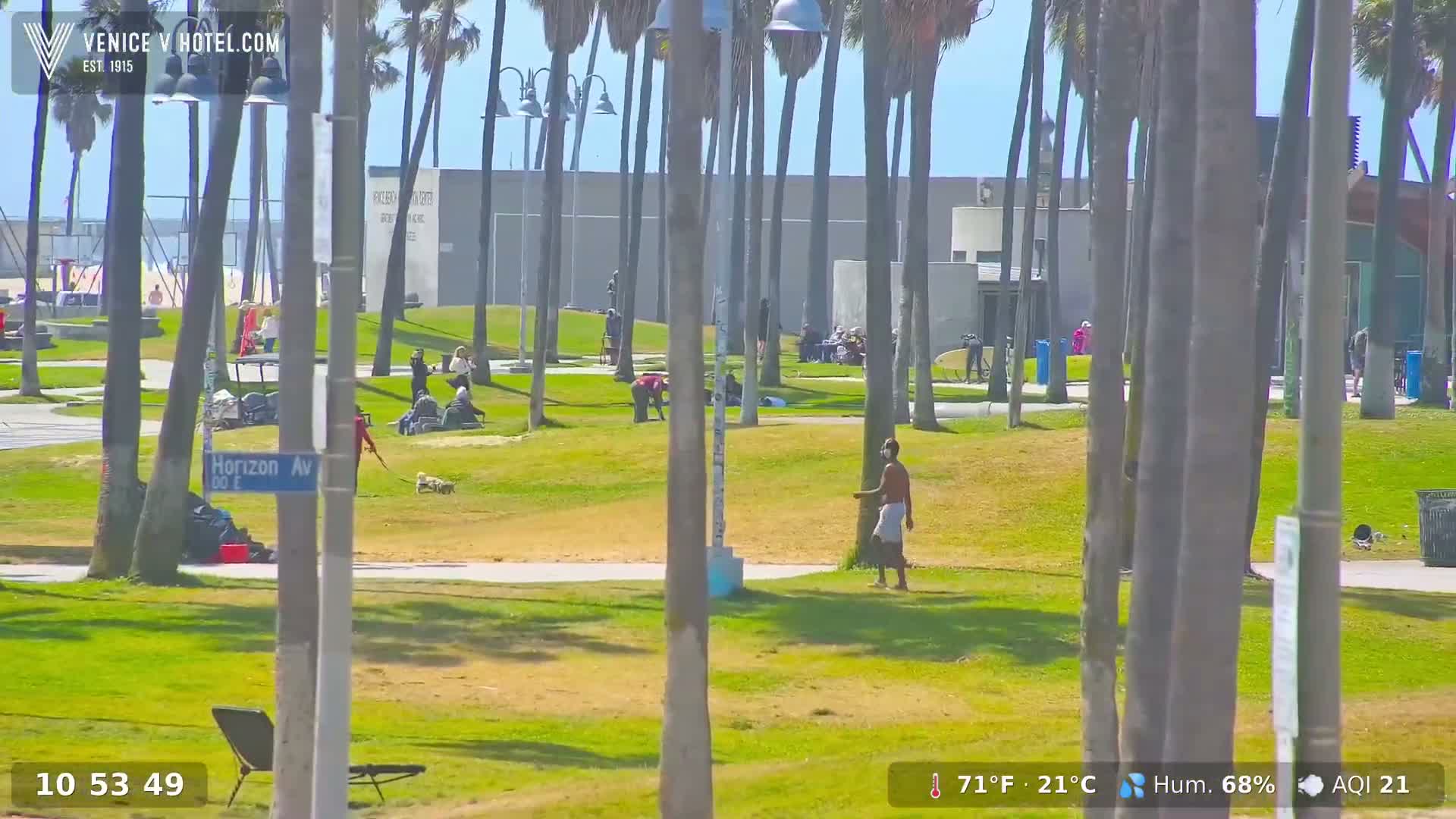 A sunny day shows people relaxing and walking in a grassy park area next to a beach, with palm trees lining the perimeter.