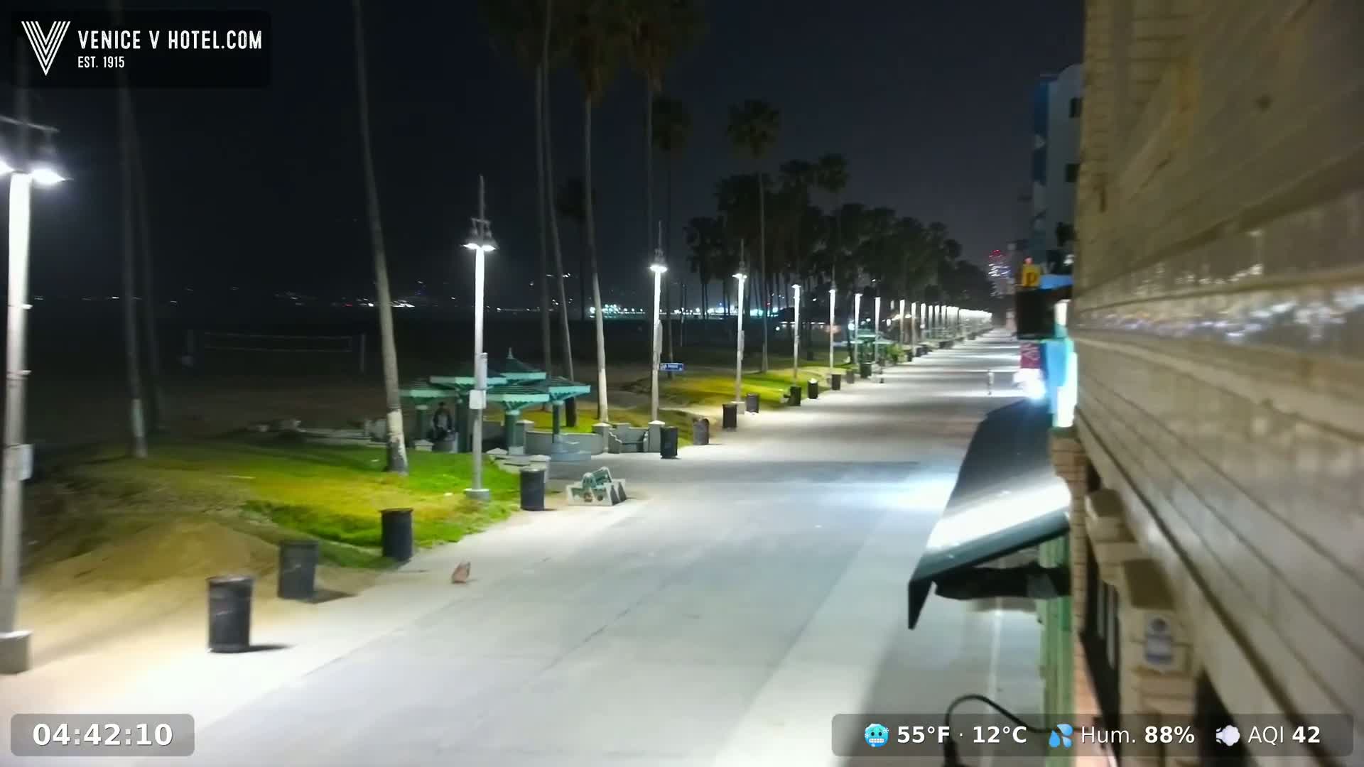 A nighttime view of a beach boardwalk lined with palm trees and lights, with a calm ocean in the background.