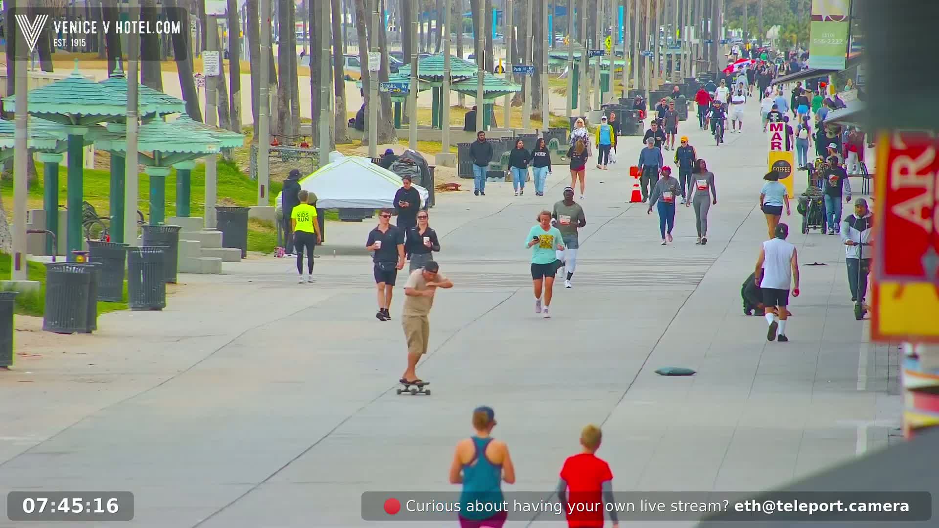 A paved walkway lined with palm trees and park benches shows many people walking, jogging, and skateboarding on a sunny day.