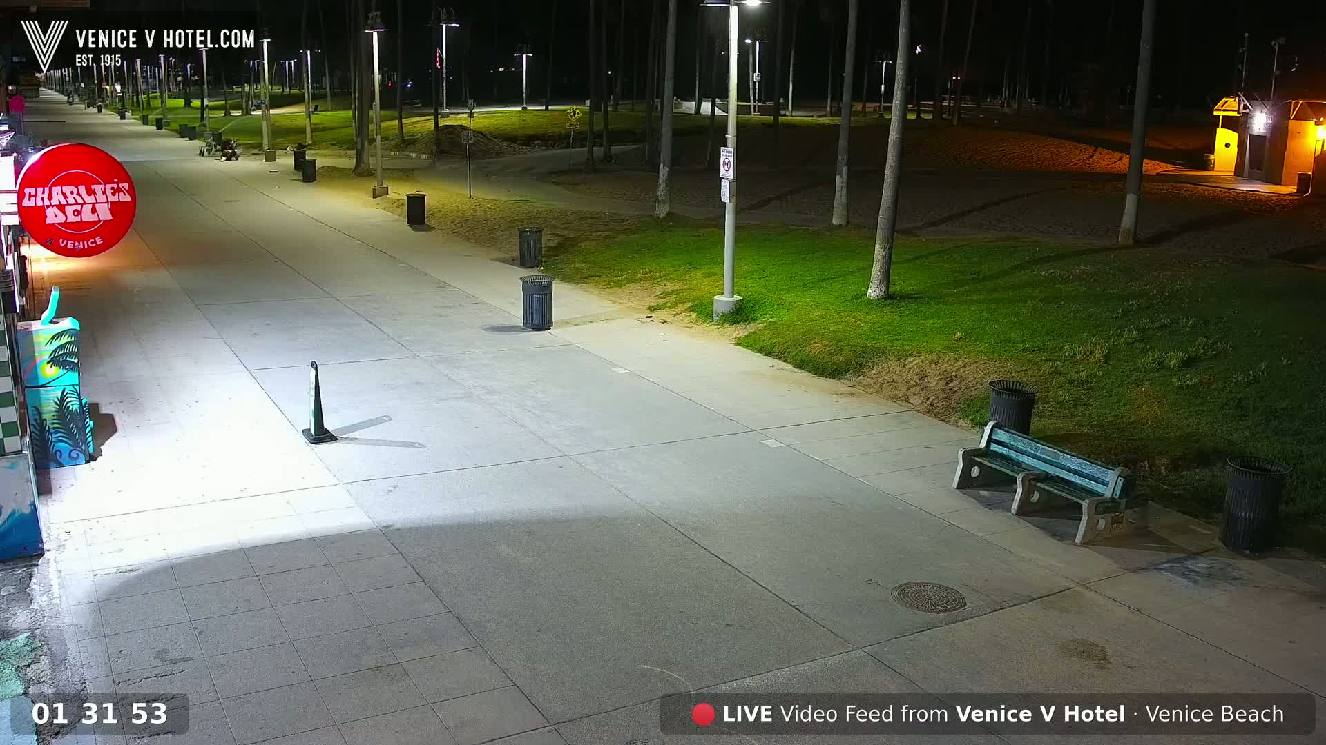 A nighttime view of a paved walkway alongside a grassy area with palm trees, trash cans, and a bench under artificial lighting.