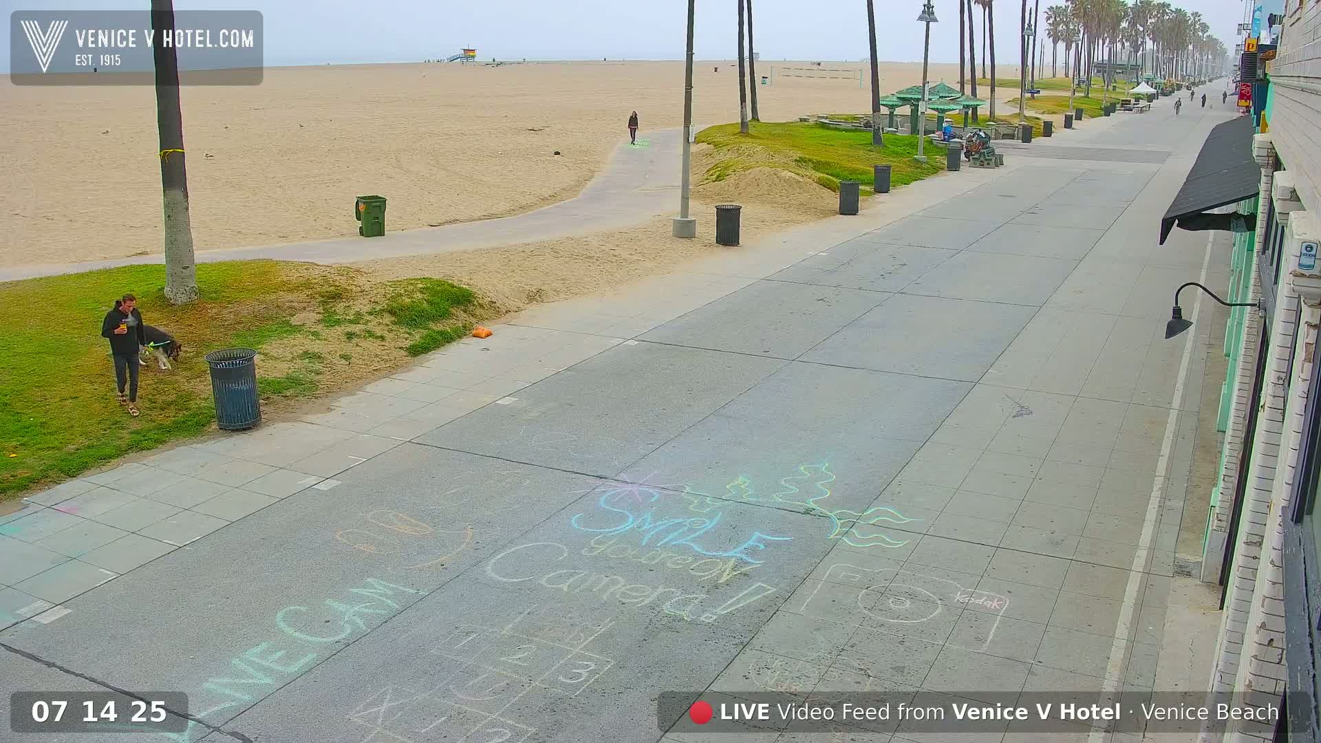 A person walks a dog on a grassy area next to a paved beachfront walkway on an overcast day, with chalk drawings on the pavement and palm trees visible in the background.