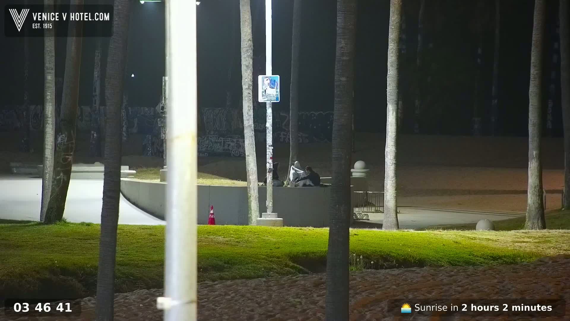 At night, two people sit on a low wall beneath palm trees near a grassy area.