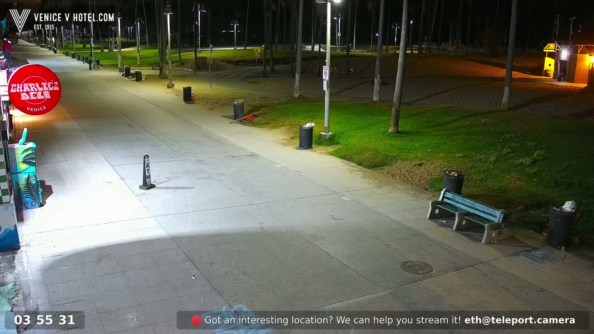 A nighttime view of a paved walkway next to a grassy area with palm trees, trash cans, and a bench.