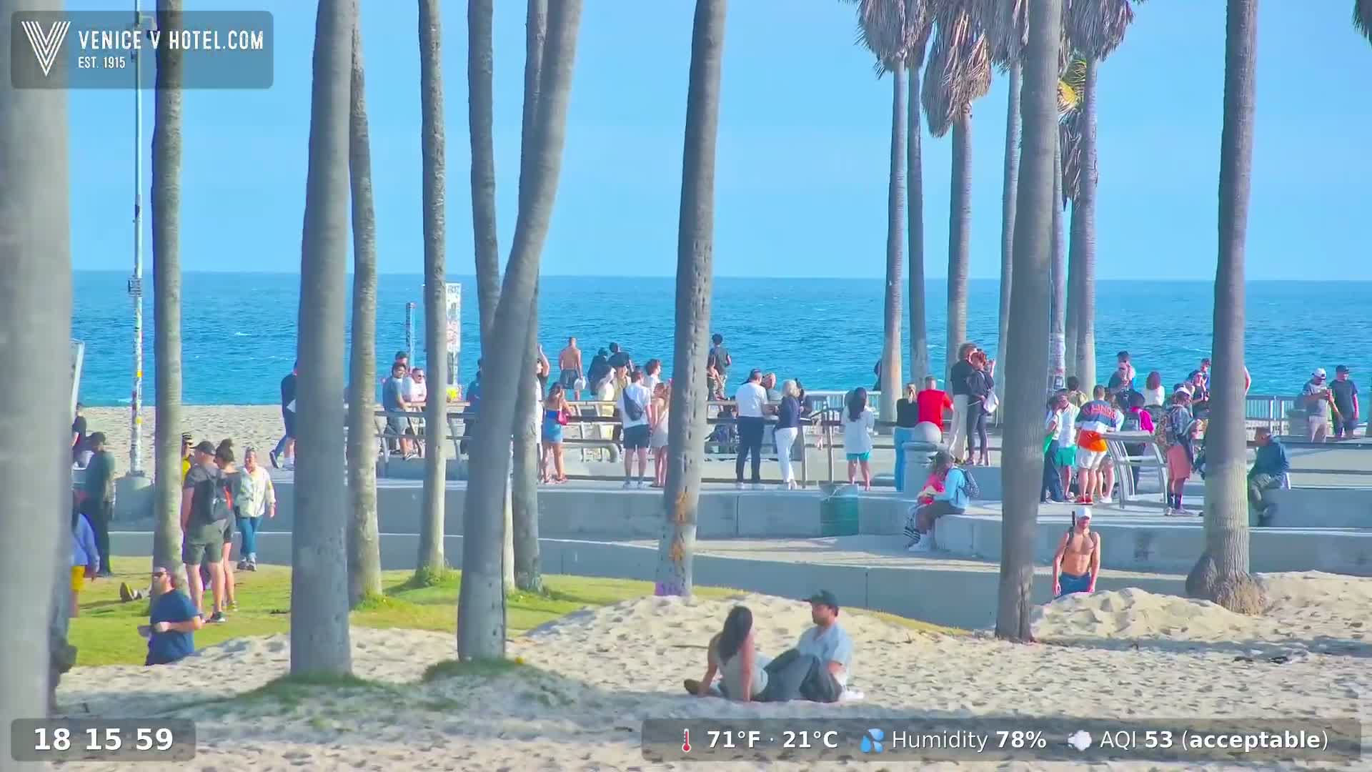 A sunny beach scene shows many people gathered on the sand and boardwalk near a calm ocean, with tall palm trees in the foreground.
