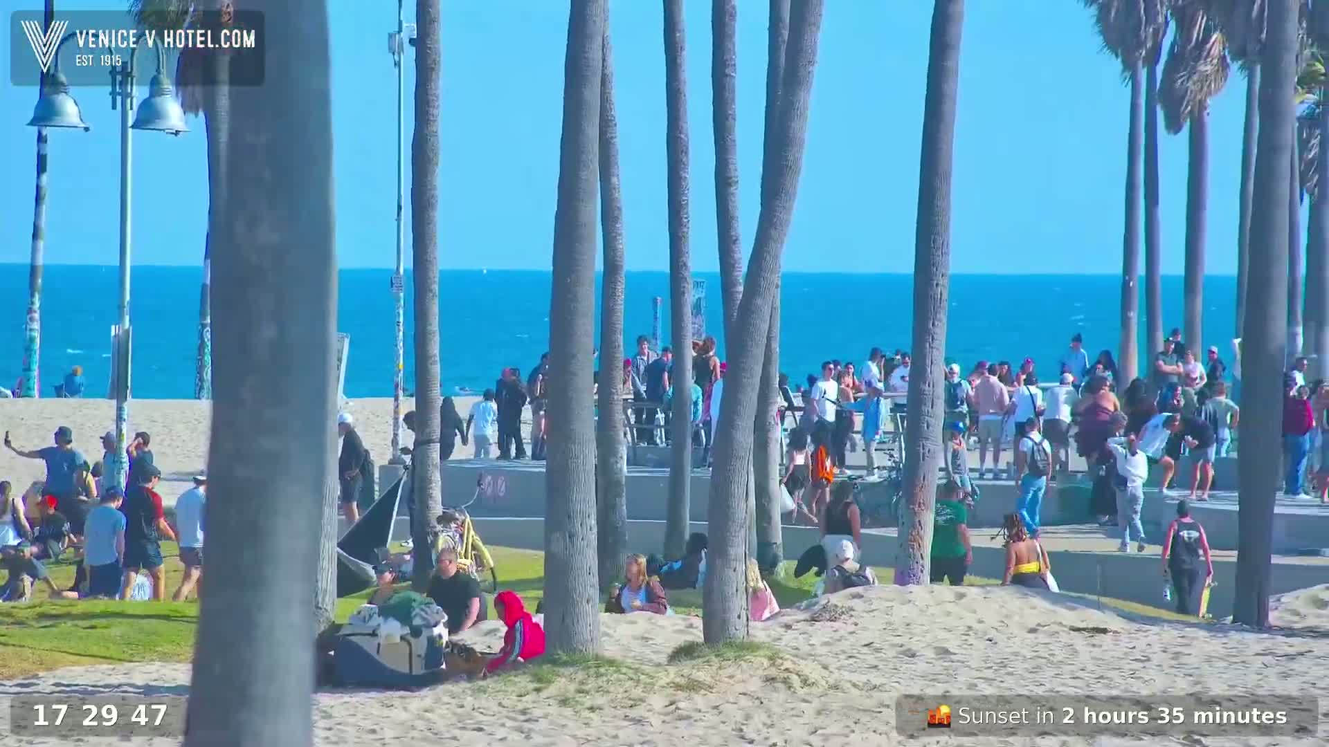 A sunny beach scene shows many people relaxing and socializing on the sand and grass near the ocean, with palm trees in the foreground.