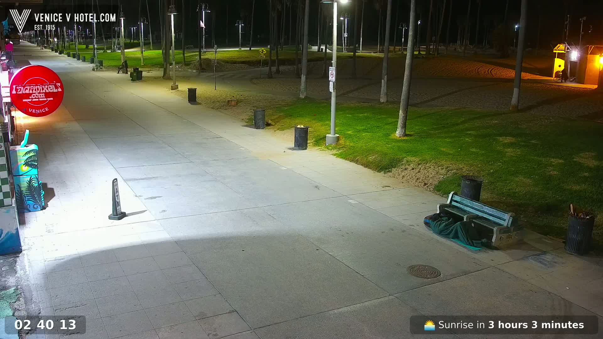 A nighttime view of a mostly empty boardwalk next to a grassy area with palm trees, featuring a person sleeping on a bench.