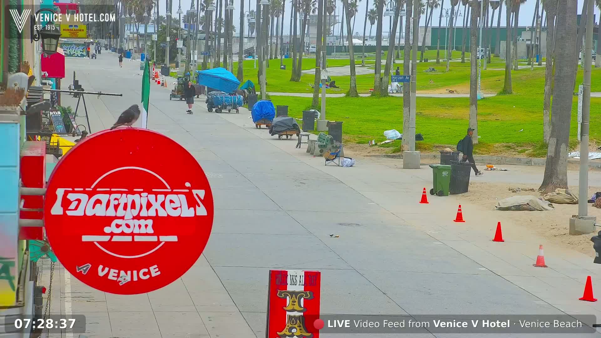 A mostly empty paved walkway lined with palm trees and some street items, under an overcast sky.