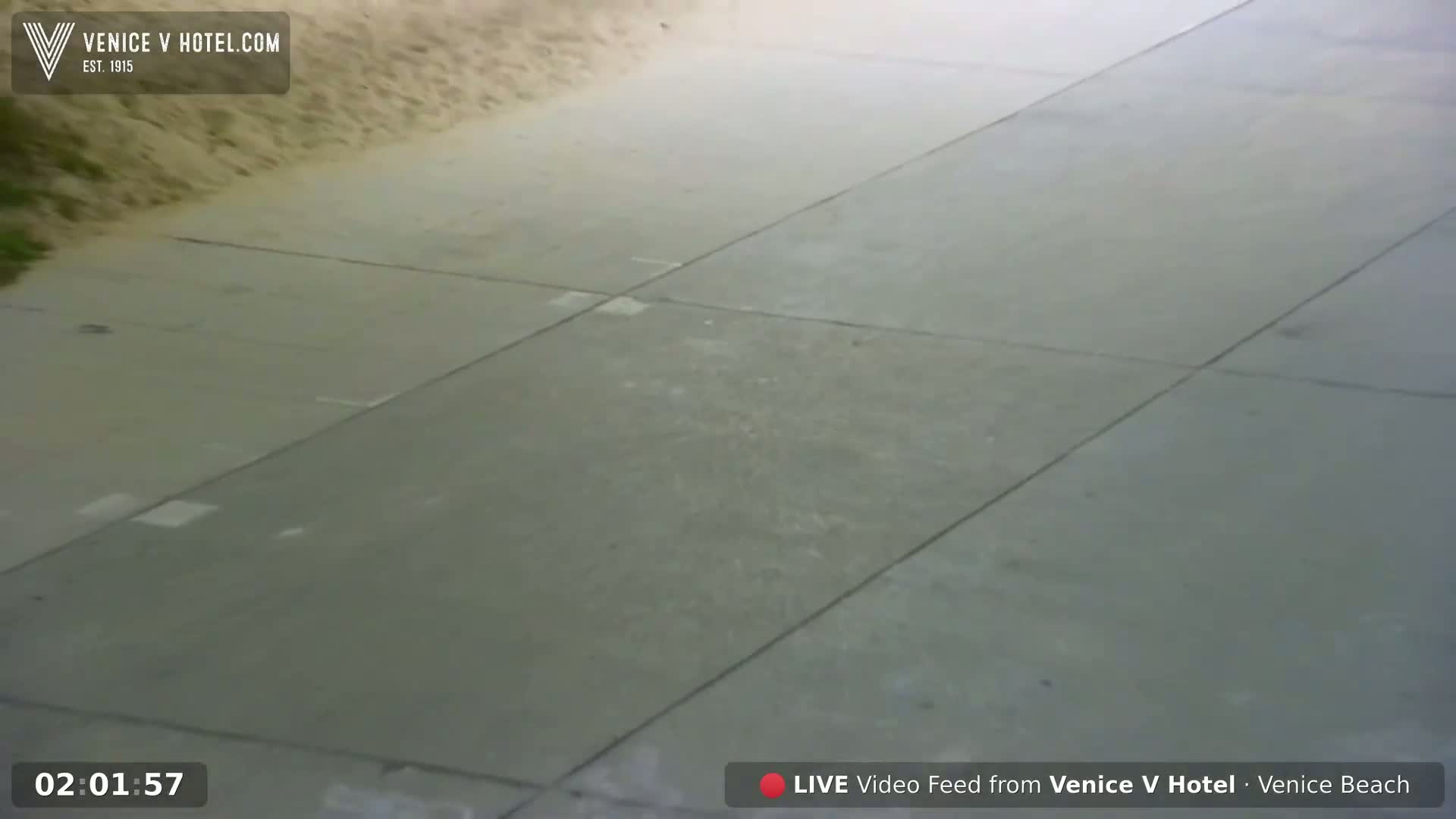 A paved area is shown, possibly a sidewalk or patio, adjacent to a sandy area.
