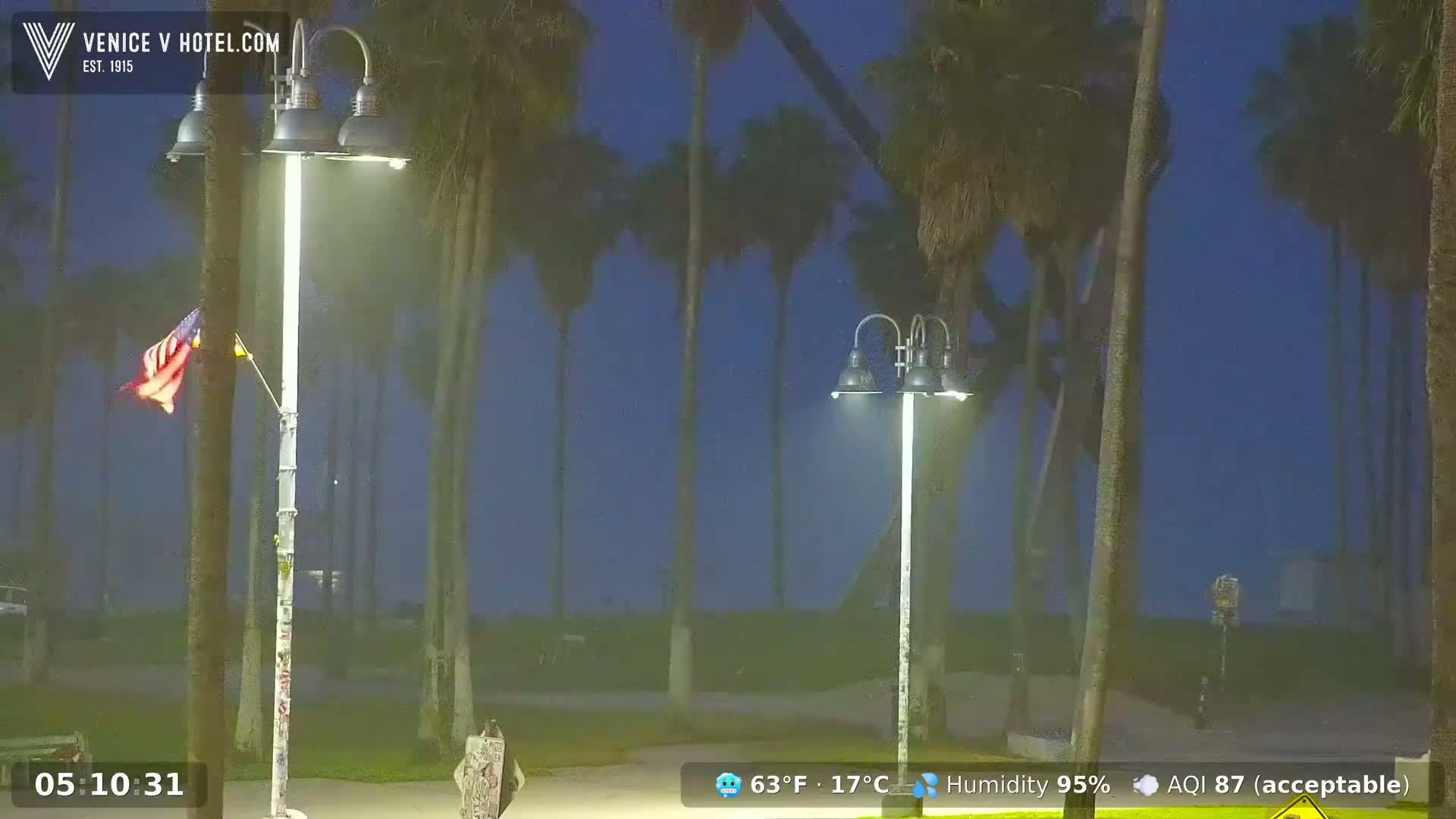 An American flag waves gently near illuminated lampposts among a row of palm trees on a misty, dark night.