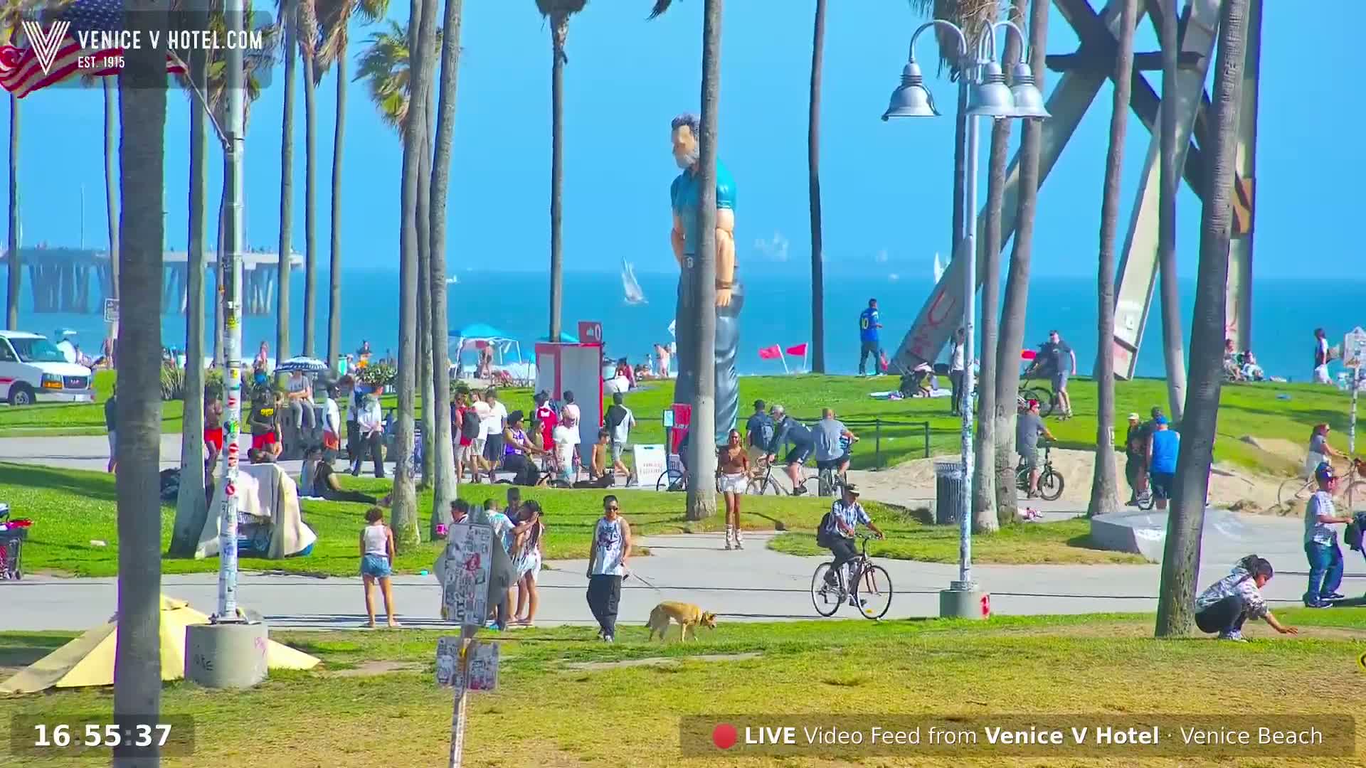 Venice Beach Live Cam - Los Angeles, California, USA