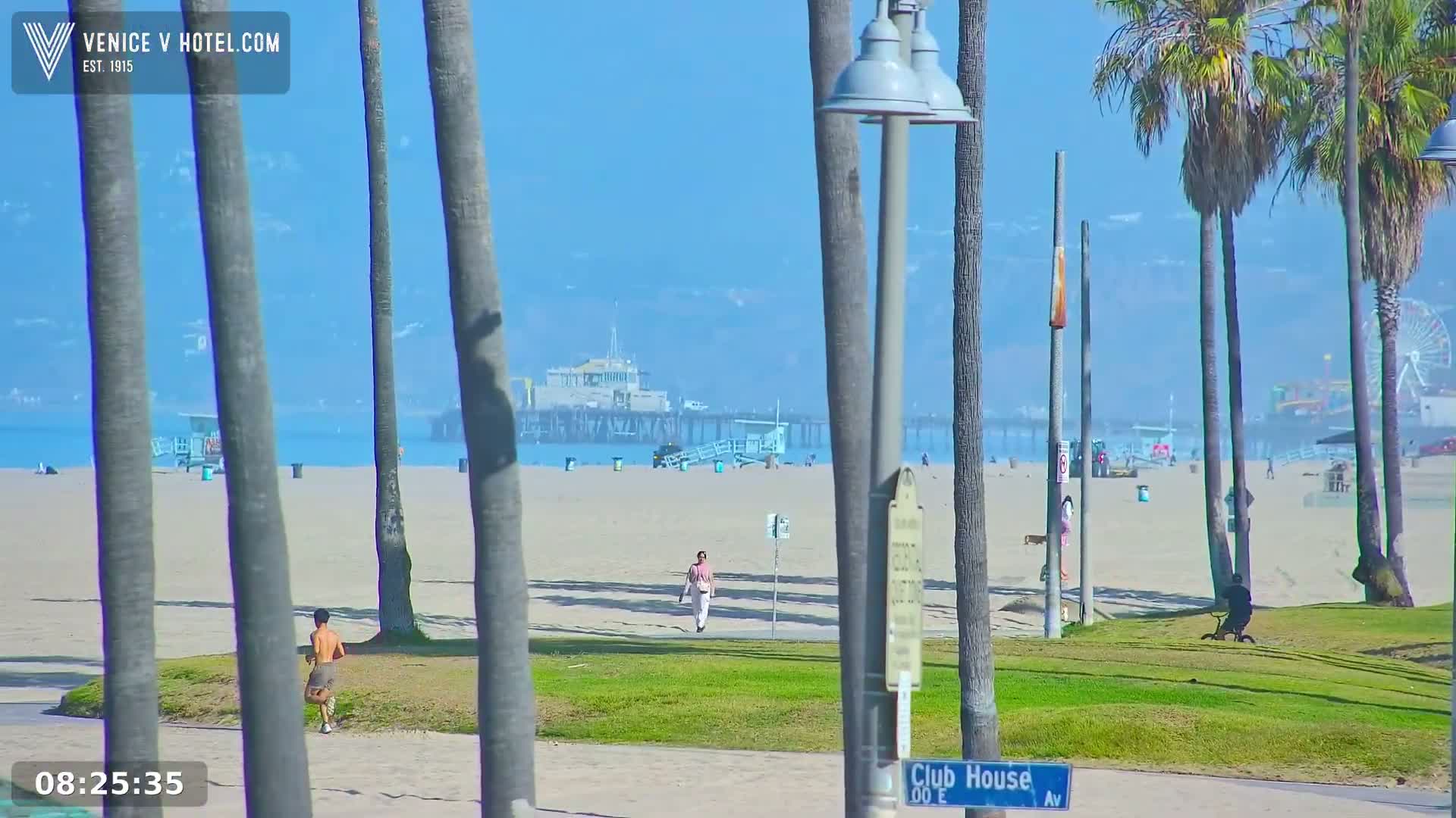 A sunny beach scene shows a pier in the distance, palm trees in the foreground, and a few people walking or biking on the sand and grass.