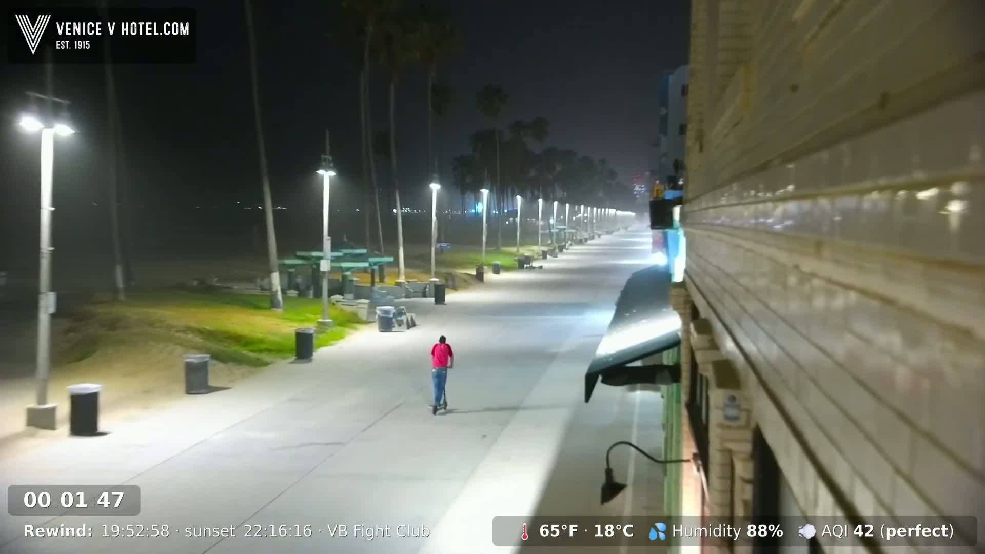 A person rides a scooter down a nighttime boardwalk lined with palm trees and lights, under hazy conditions.