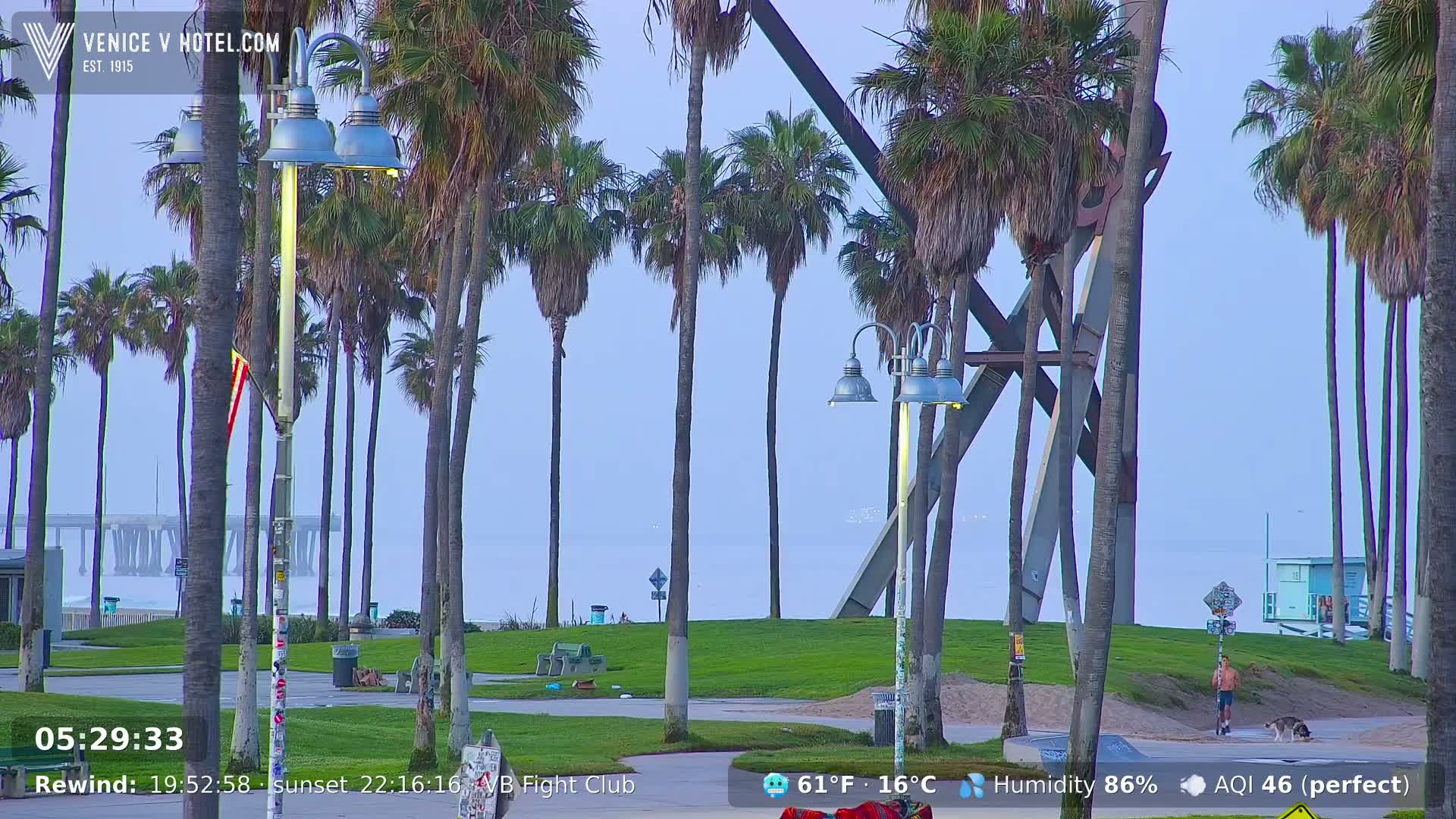 A hazy dawn reveals a beach scene with numerous palm trees, streetlights, a grassy area, and a distant pier; a person walks a dog along a paved path.