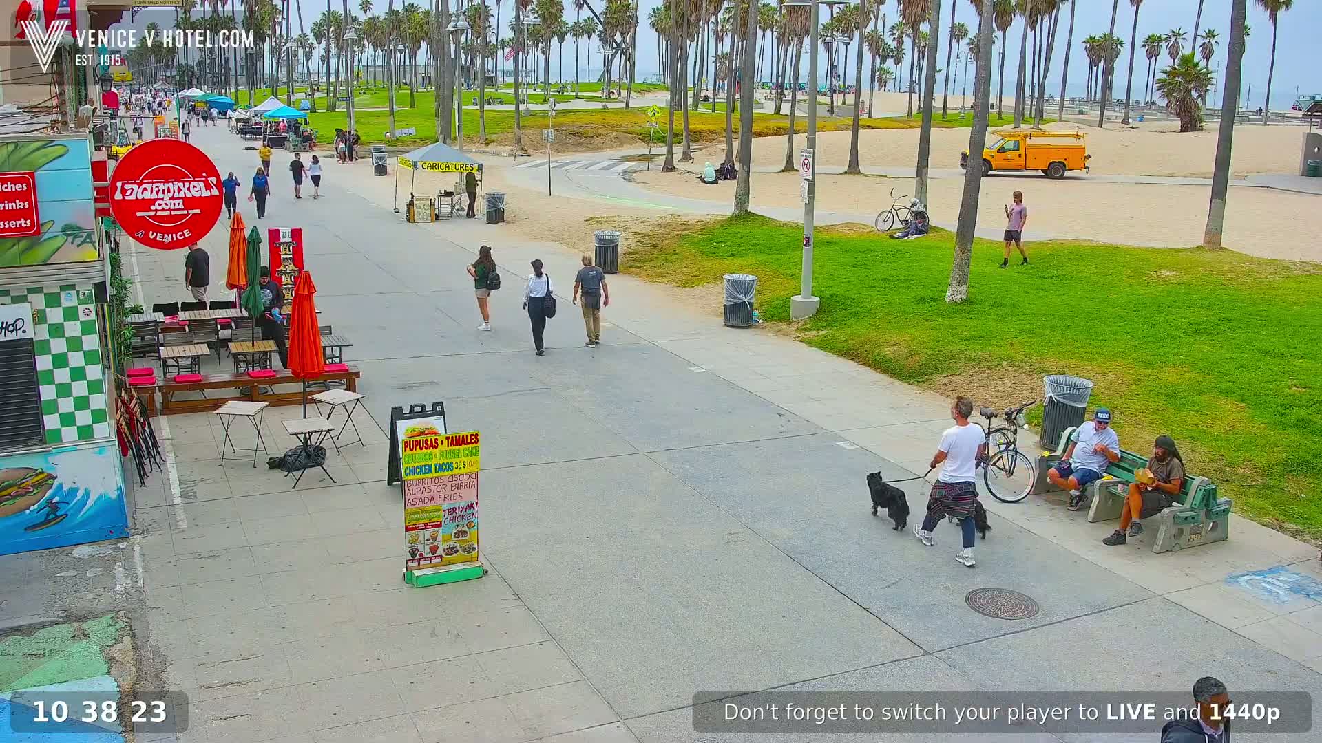 A sunny boardwalk scene shows people walking, sitting, and riding bikes, with palm trees and a beach in the background.