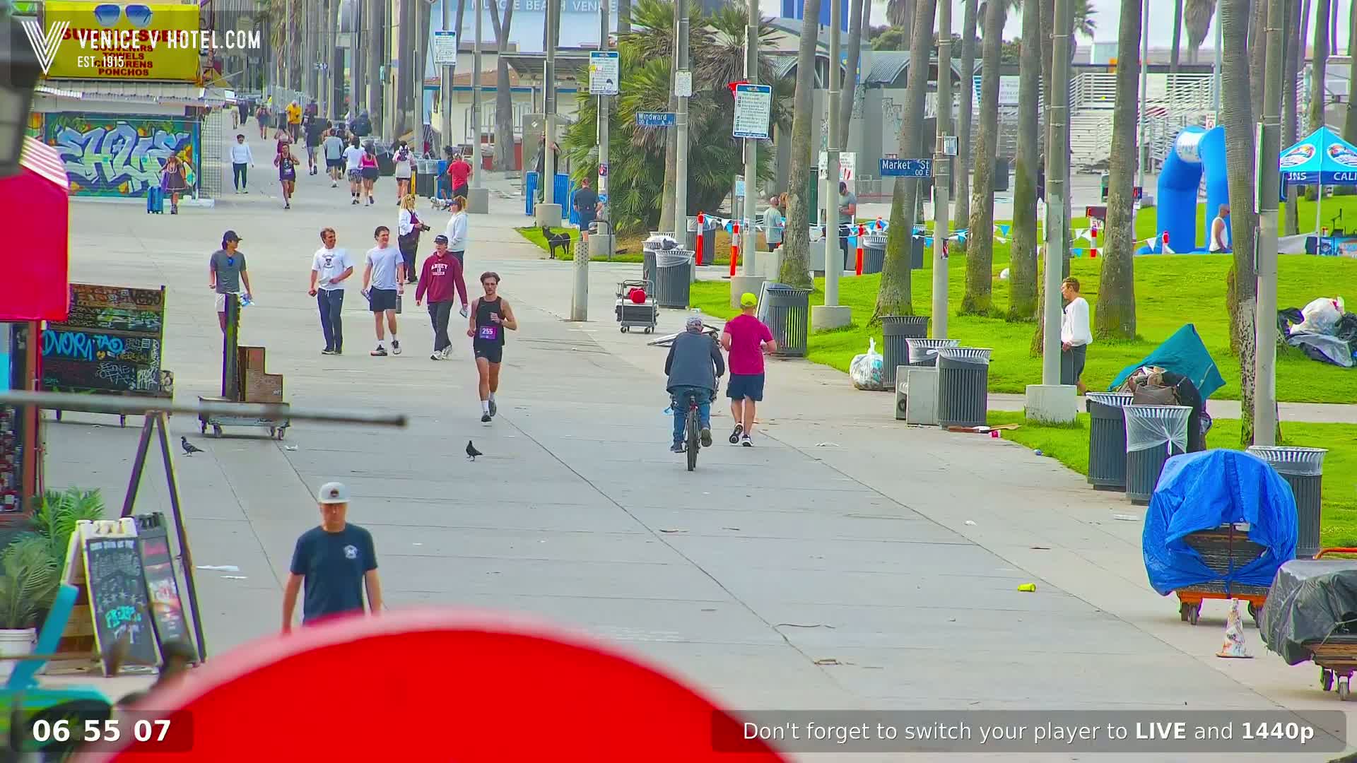 A paved walkway lined with palm trees shows several people walking and biking, with some people jogging, under a mostly sunny sky.
