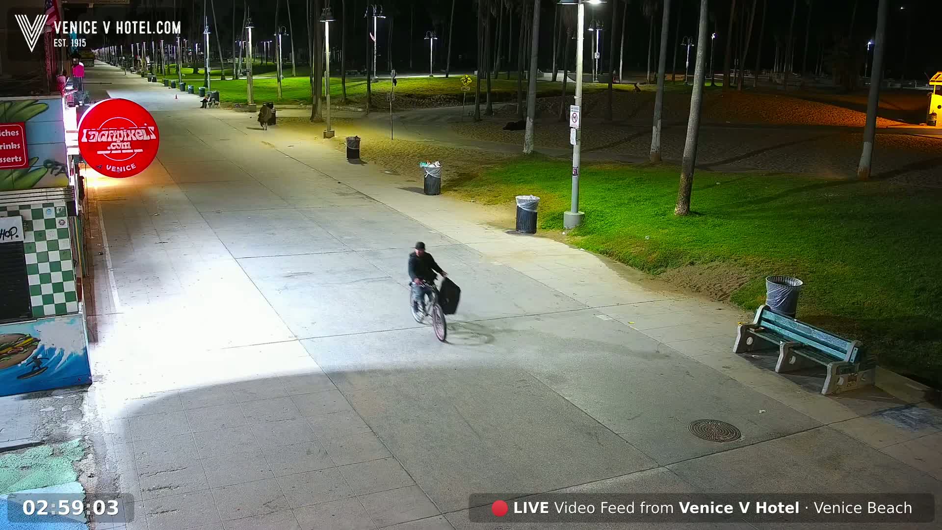 A person rides a bicycle along a paved walkway at night, under illuminated streetlights, next to a grassy area with palm trees.