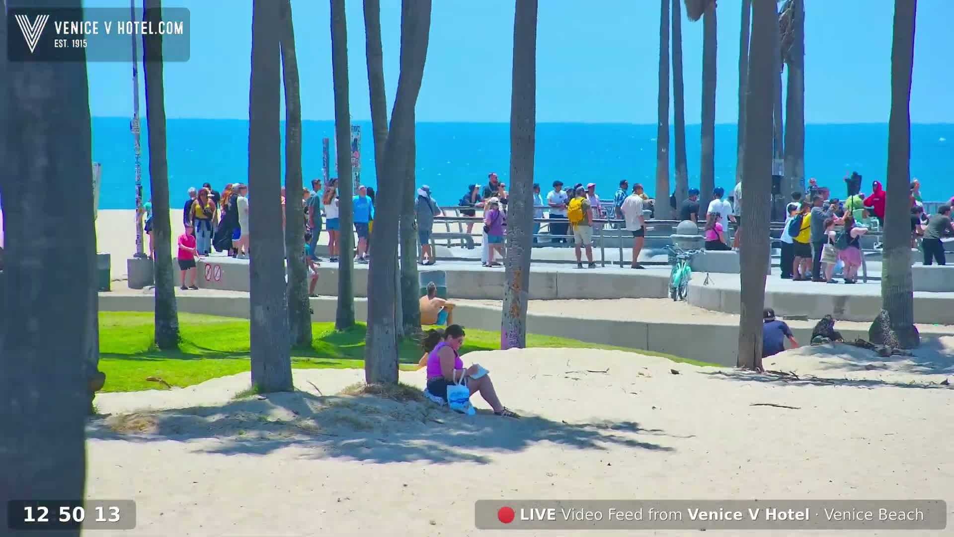 Venice Beach Live Cam - Los Angeles, California, USA