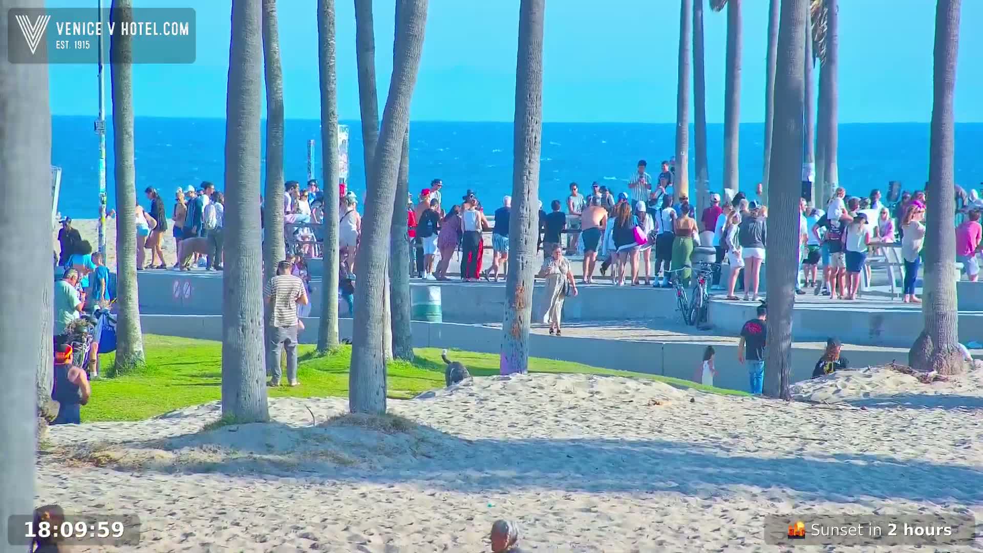 Venice Beach Live Cam - Los Angeles, California, USA