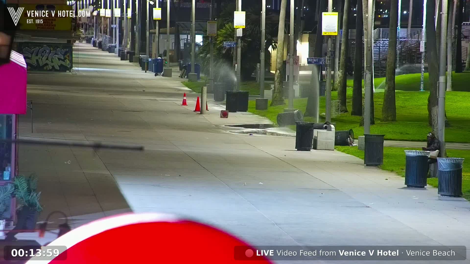 A nighttime view of a mostly empty paved walkway lined with trash cans and palm trees, with sprinklers operating in a nearby grassy area.
