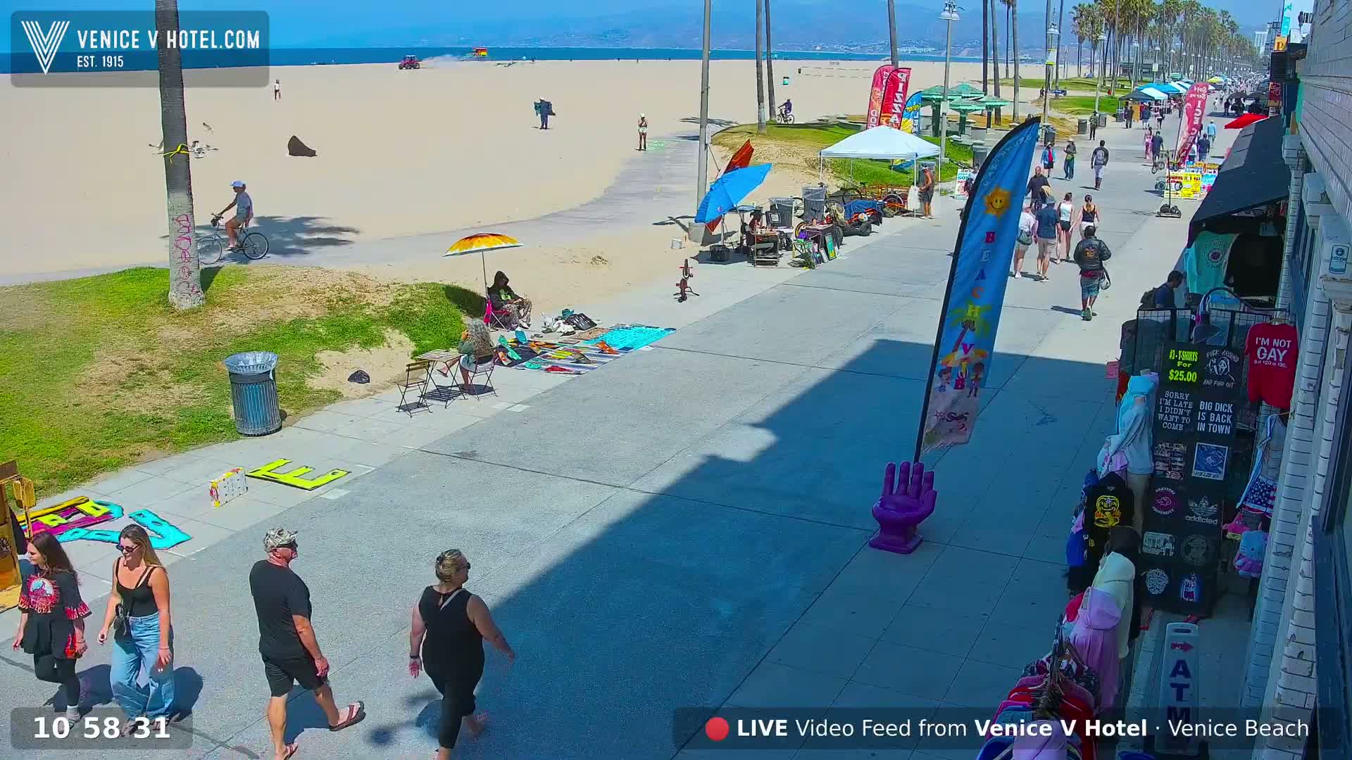 Venice Beach Live Cam - Los Angeles, California, USA
