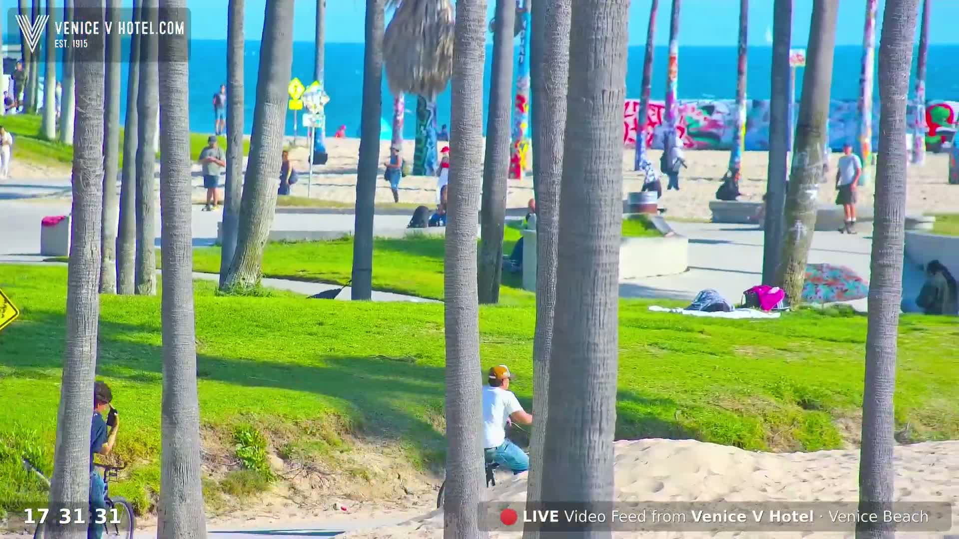 Venice Beach Live Cam - Los Angeles, California, USA