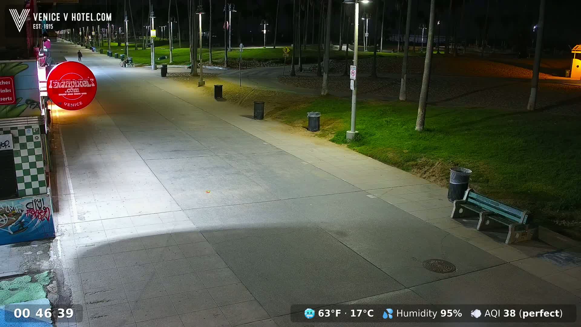 A nighttime view of a paved walkway, lined with palm trees and park benches, under artificial light with high humidity.