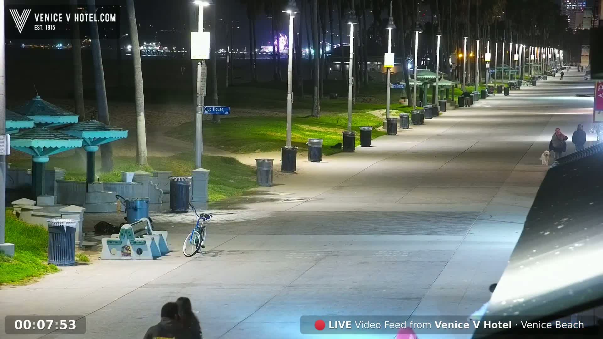 A nighttime view of a paved walkway lined with palm trees, trash cans, and park benches, with a few pedestrians and a bicycle visible.