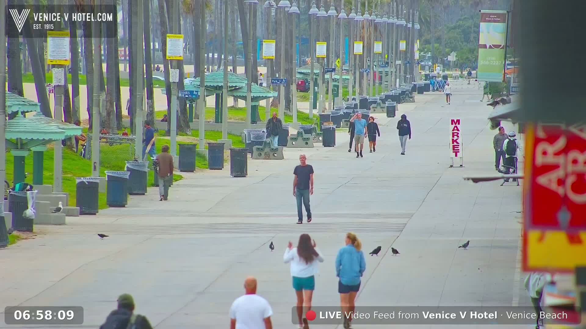 Venice Beach Live Cam - Los Angeles, California, USA