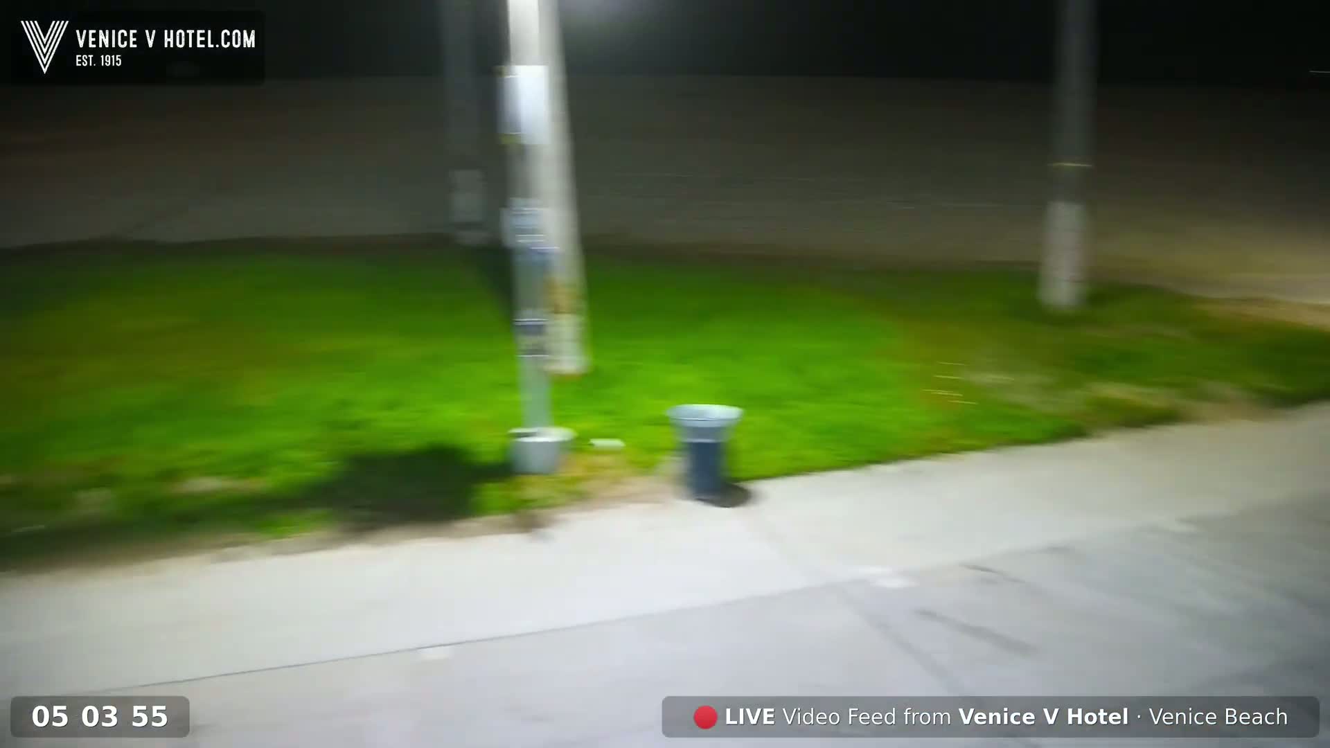 Venice Beach Live Cam - Los Angeles, California, USA