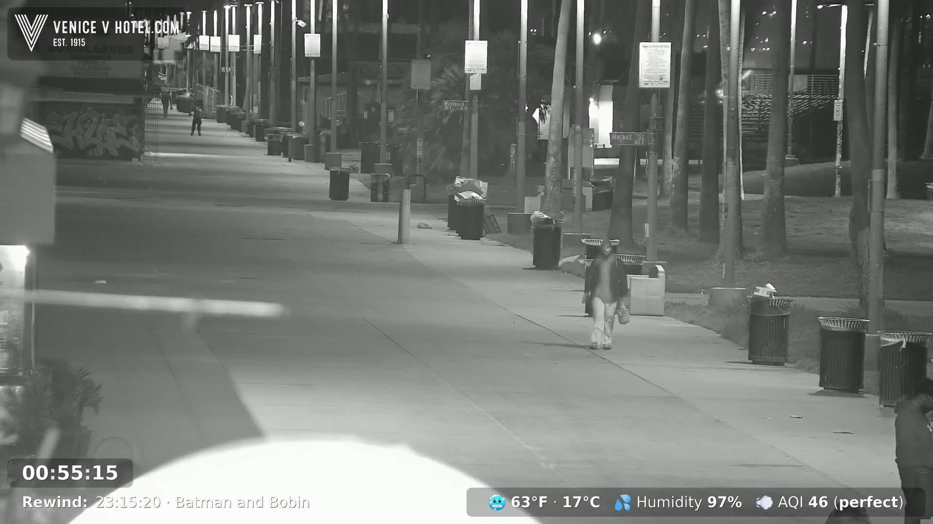 A person walks down a nighttime sidewalk lined with palm trees and trash cans under a humid sky.