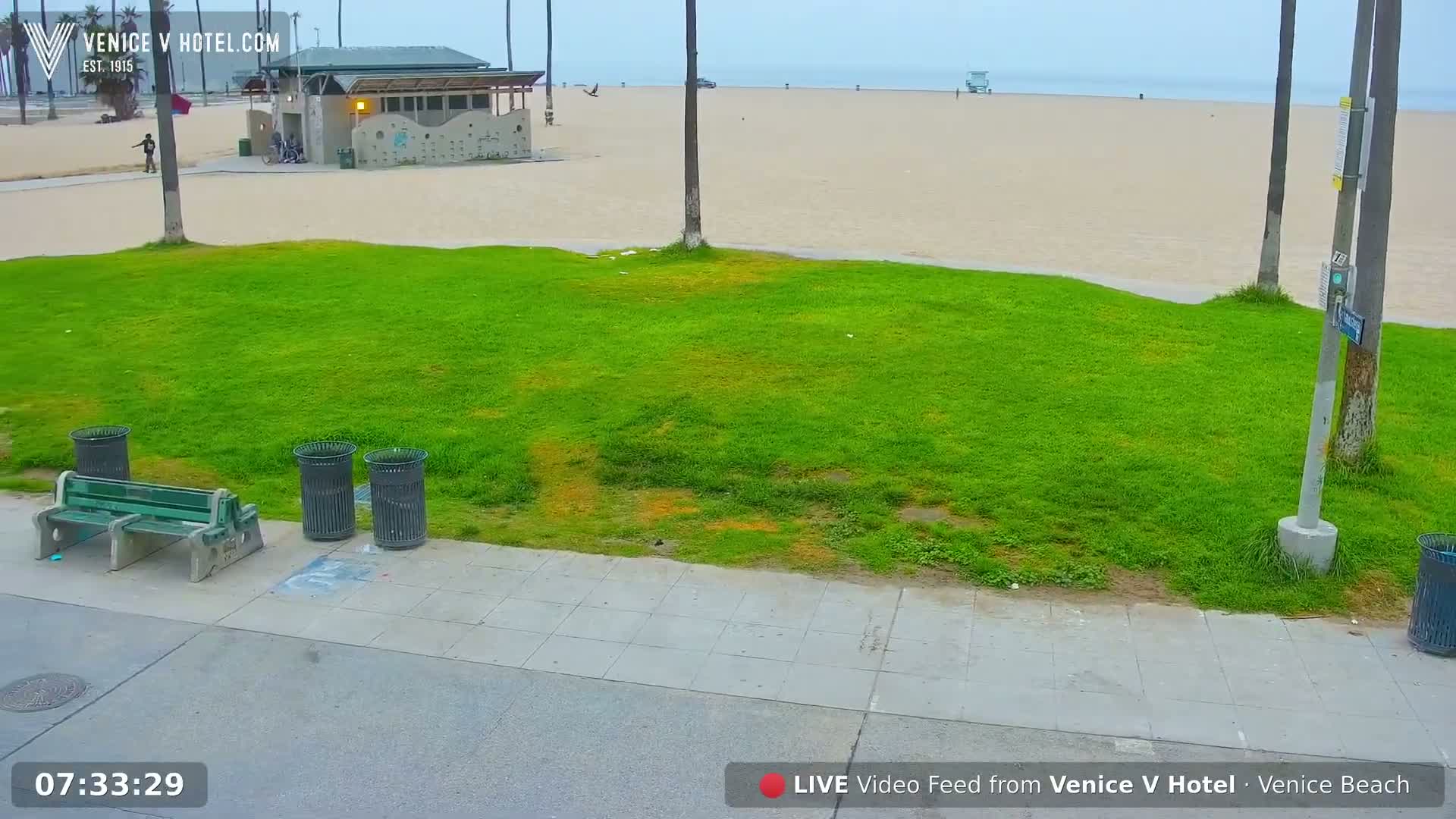Venice Beach Live Cam - Los Angeles, California, USA