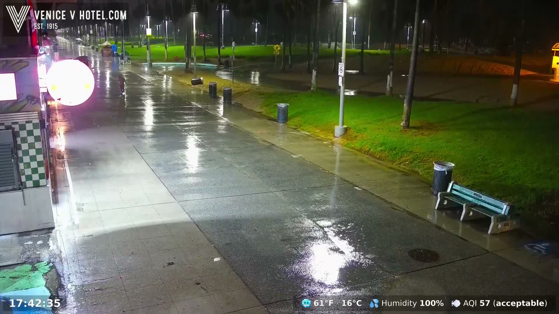 A wet and reflective park promenade, lined with trees and a grassy area, is illuminated by artificial lights at night, showing evidence of recent rain and featuring a visible bench and trash cans.