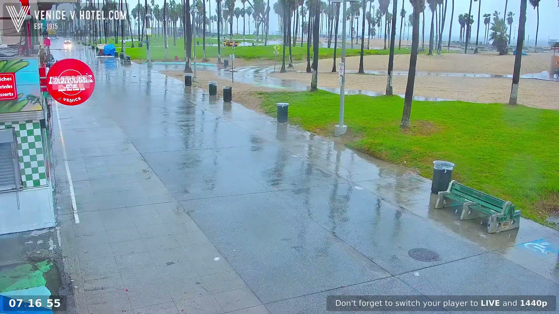 Venice Beach Live Cam - Los Angeles, California, USA