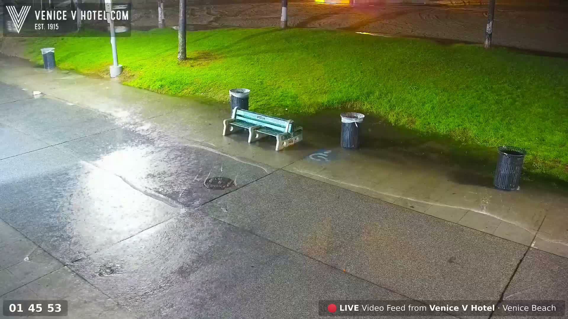 A nighttime outdoor scene displays a wet paved area, a green park bench, and several trash cans adjacent to a brightly illuminated grassy slope, all under heavy rain.