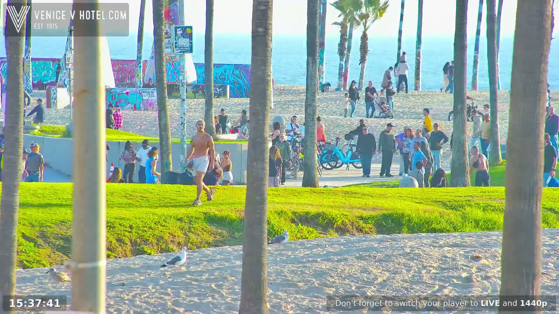 Venice Beach Live Cam - Los Angeles, California, USA
