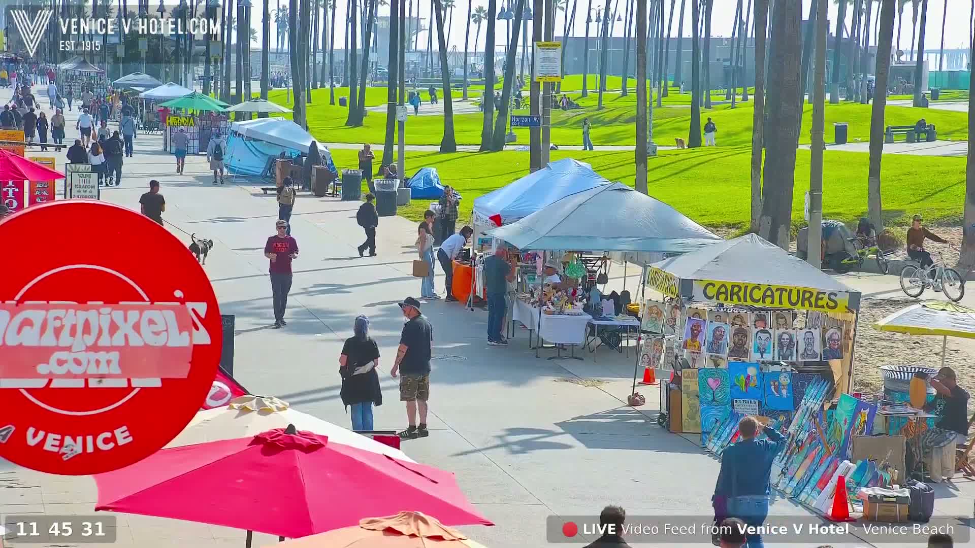 Venice Beach Live Cam - Los Angeles, California, USA