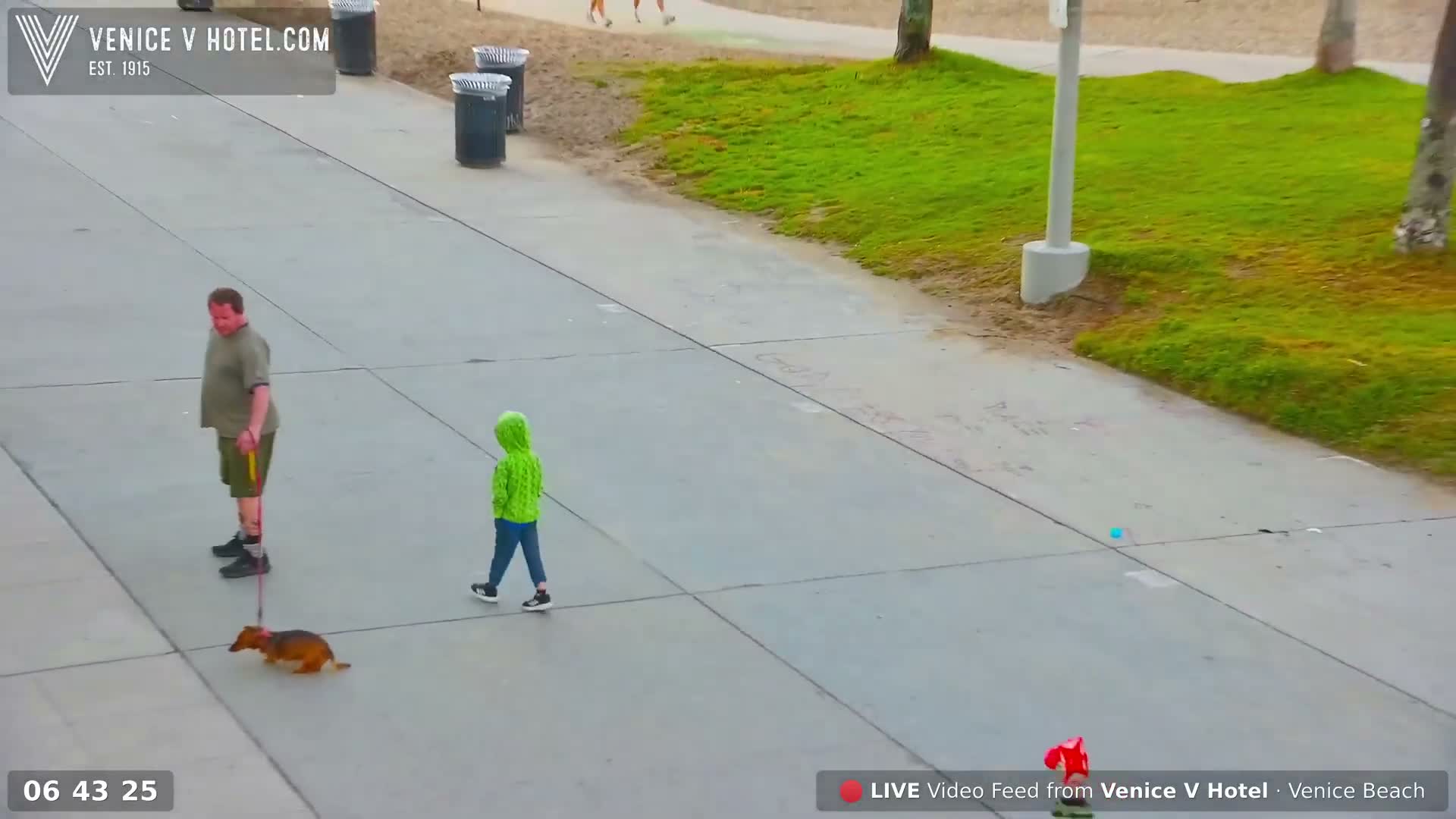 Venice Beach Live Cam - Los Angeles, California, USA